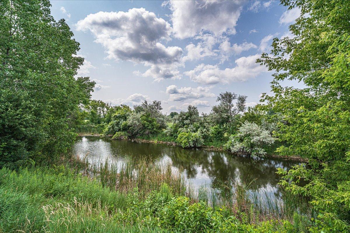 View of Residential at 18037 96th Avenue, Maple Grove MN 55311, Maple Grove (33 of 33) - Mike Wilen | Minnesota Team Real Estate