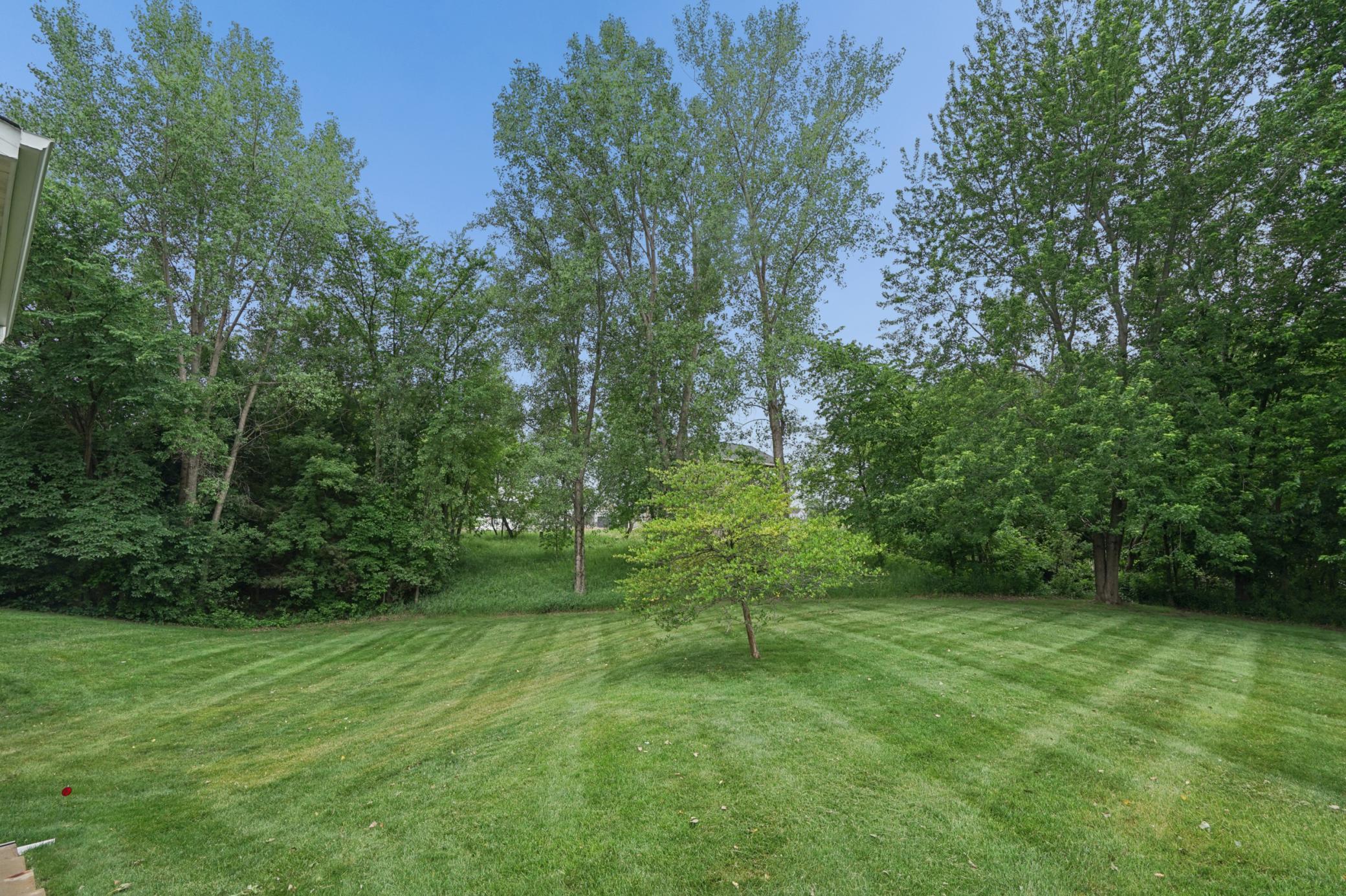 View of Residential at 885 Katydid Lane, Saint Michael MN 55376, Saint Michael (60 of 65) - Mike Wilen | Minnesota Team Real Estate