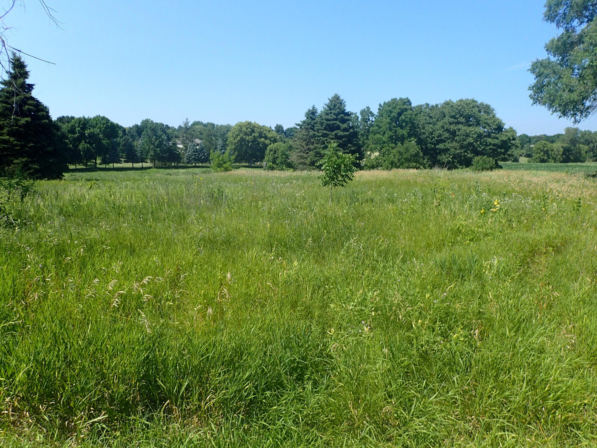 View of Land at XXX22 60th Street, Cokato MN 55321, Cokato (10 of 11) - Mike Wilen | Minnesota Team Real Estate