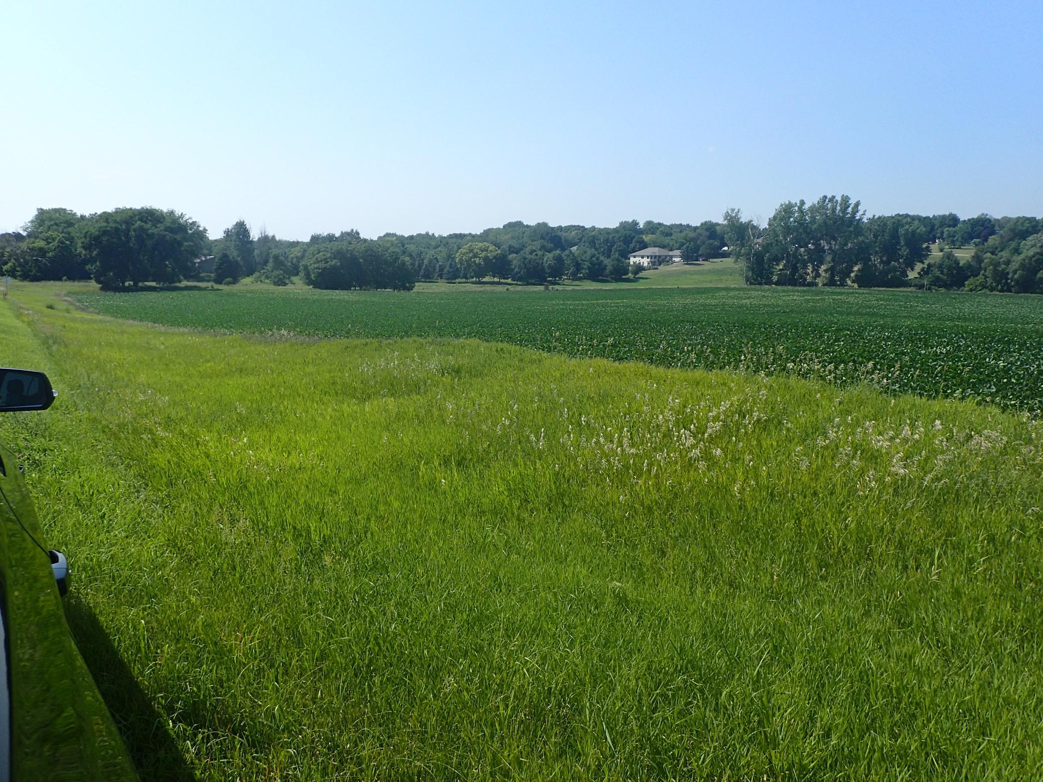 View of Land at XXX22 60th Street, Cokato MN 55321, Cokato (5 of 11) - Mike Wilen | Minnesota Team Real Estate