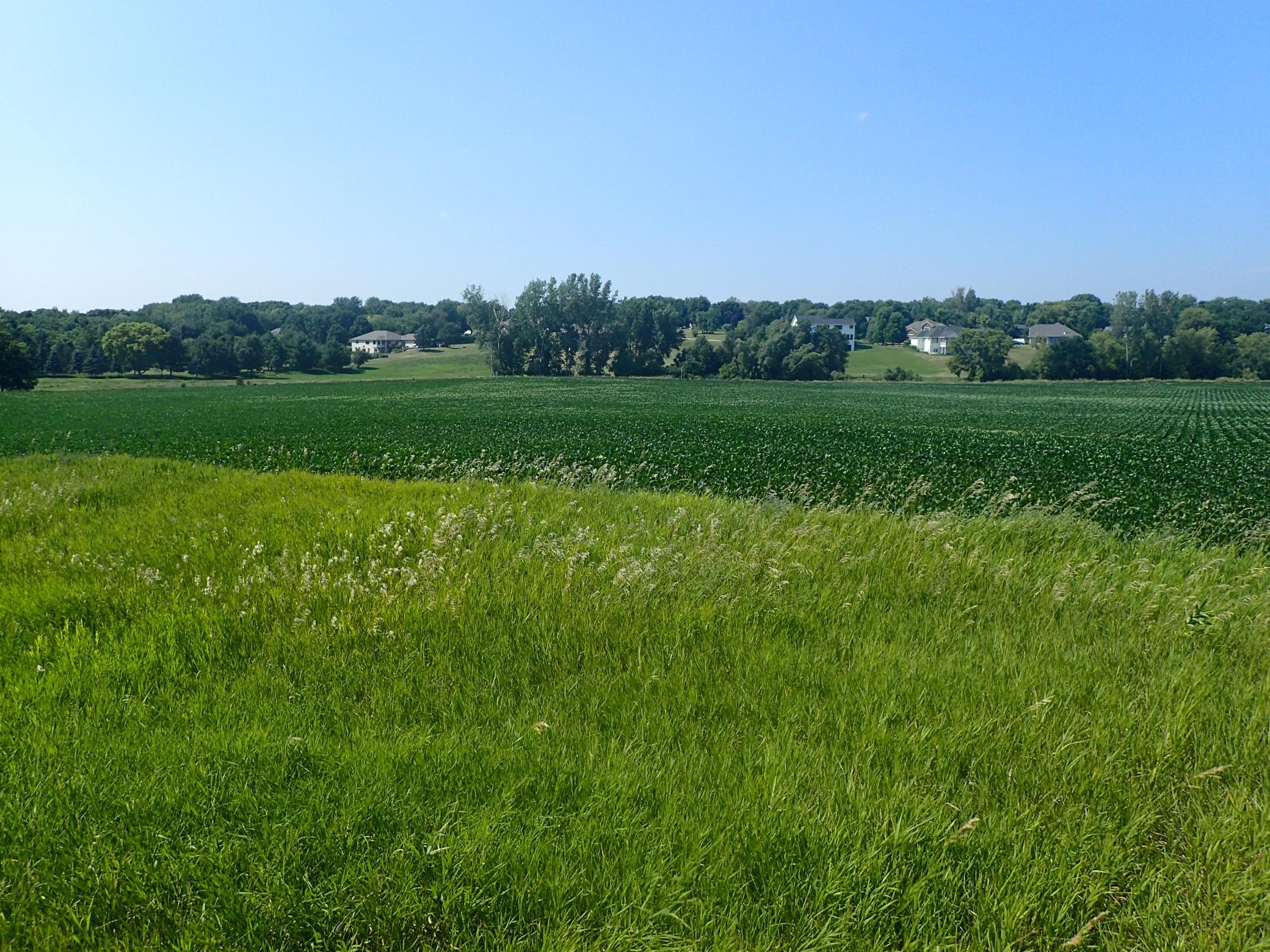View of Land at XXX22 60th Street, Cokato MN 55321, Cokato (2 of 11) - Mike Wilen | Minnesota Team Real Estate