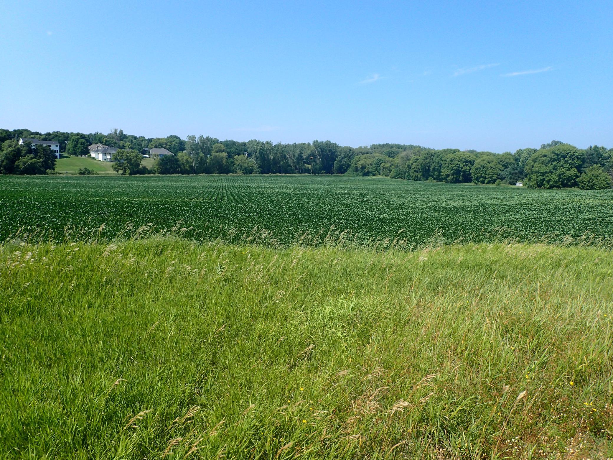 View of Land at XXX22 60th Street, Cokato MN 55321, Cokato (4 of 11) - Mike Wilen | Minnesota Team Real Estate