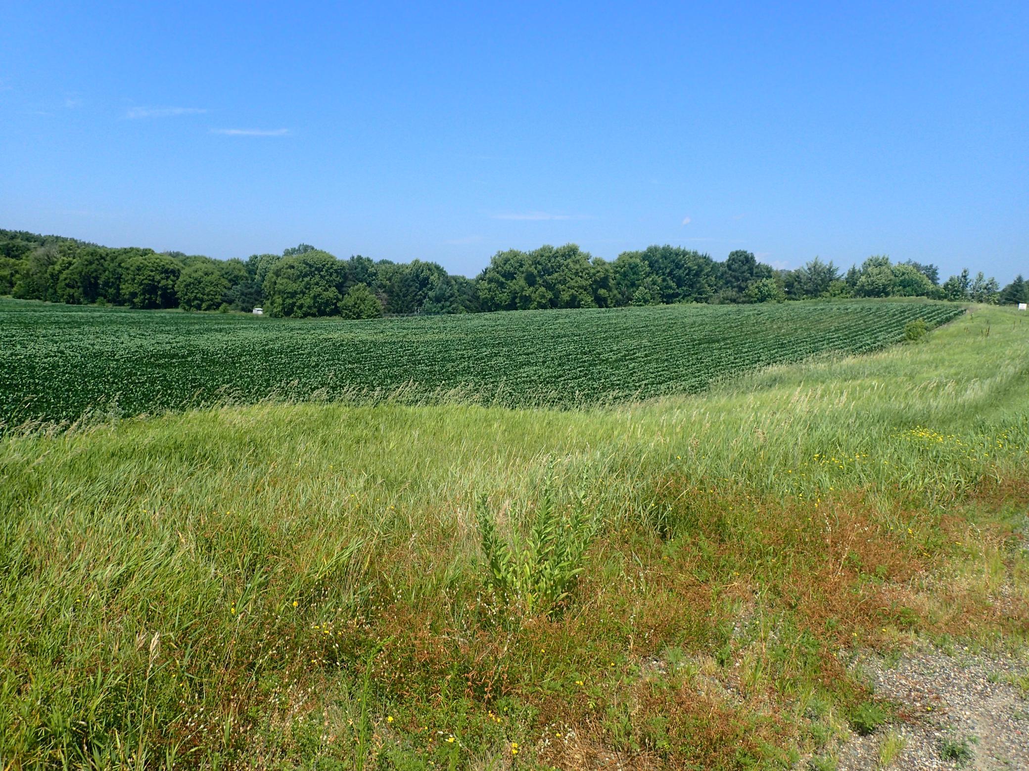 View of Land at XXX22 60th Street, Cokato MN 55321, Cokato (3 of 11) - Mike Wilen | Minnesota Team Real Estate
