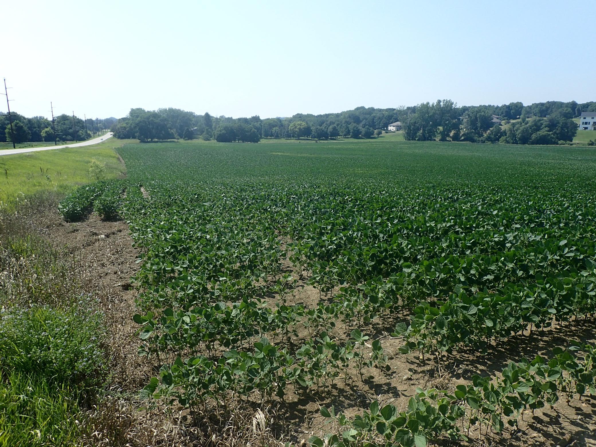 View of Land at XXX22 60th Street, Cokato MN 55321, Cokato (9 of 11) - Mike Wilen | Minnesota Team Real Estate