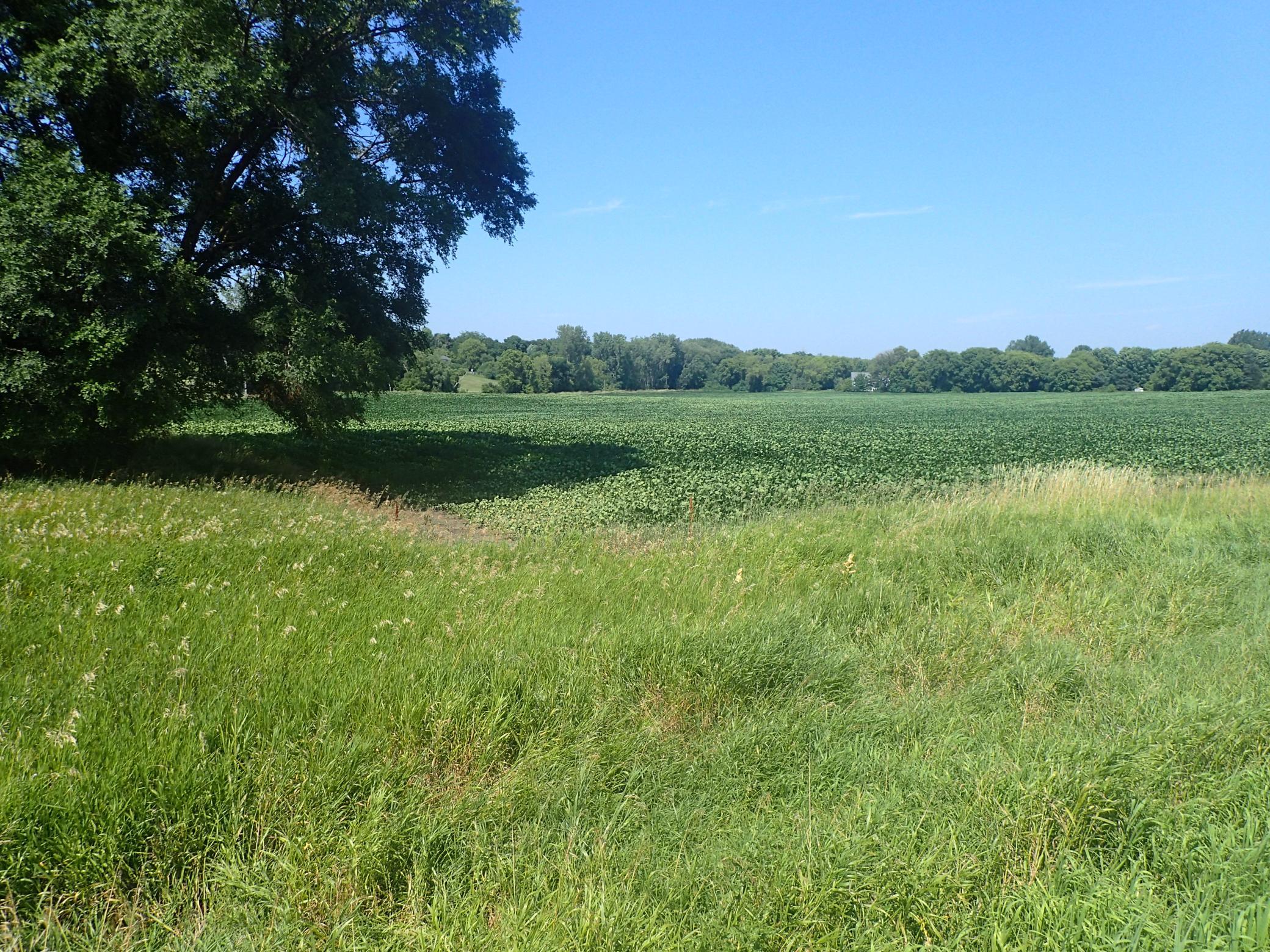 View of Land at XXX22 60th Street, Cokato MN 55321, Cokato - Mike Wilen | Minnesota Team Real Estate