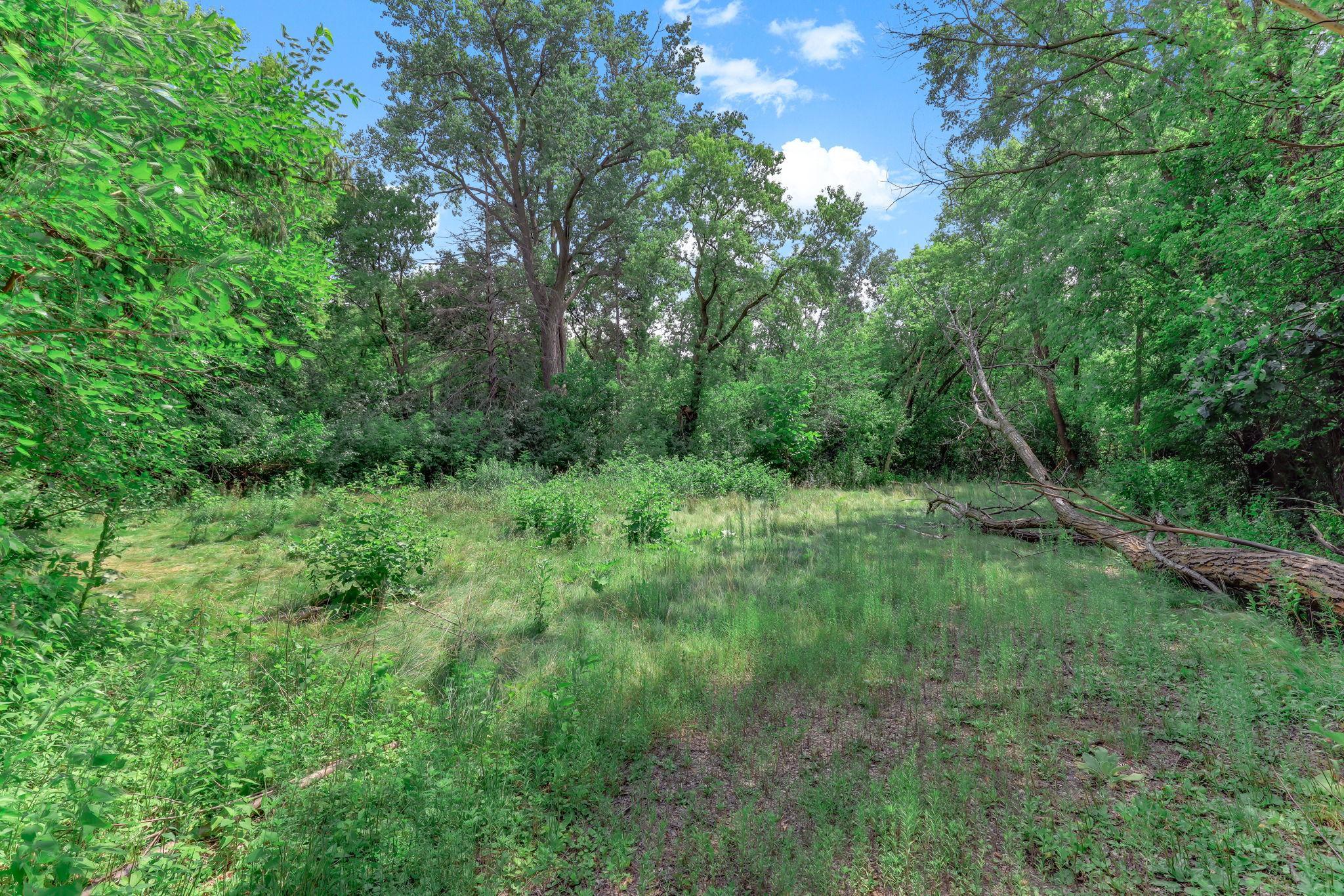 View of Land at 2510 Ardan Avenue, Mounds View MN 55112, Mounds View - Mike Wilen | Minnesota Team Real Estate