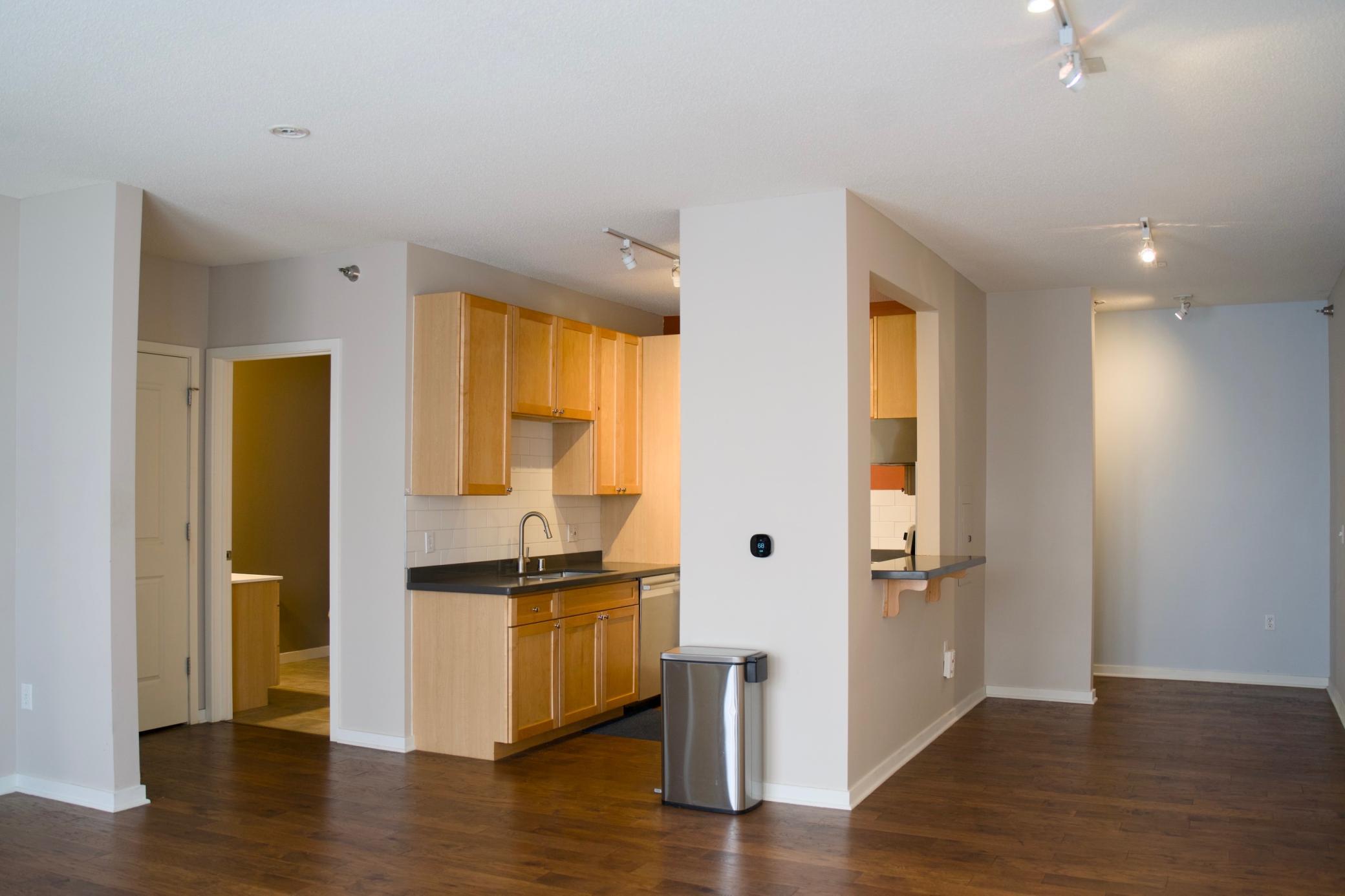 View of Residential at 445 Wacouta Street #201, Saint Paul MN 55101, Saint Paul (10 of 25) - Mike Wilen | Minnesota Team Real Estate