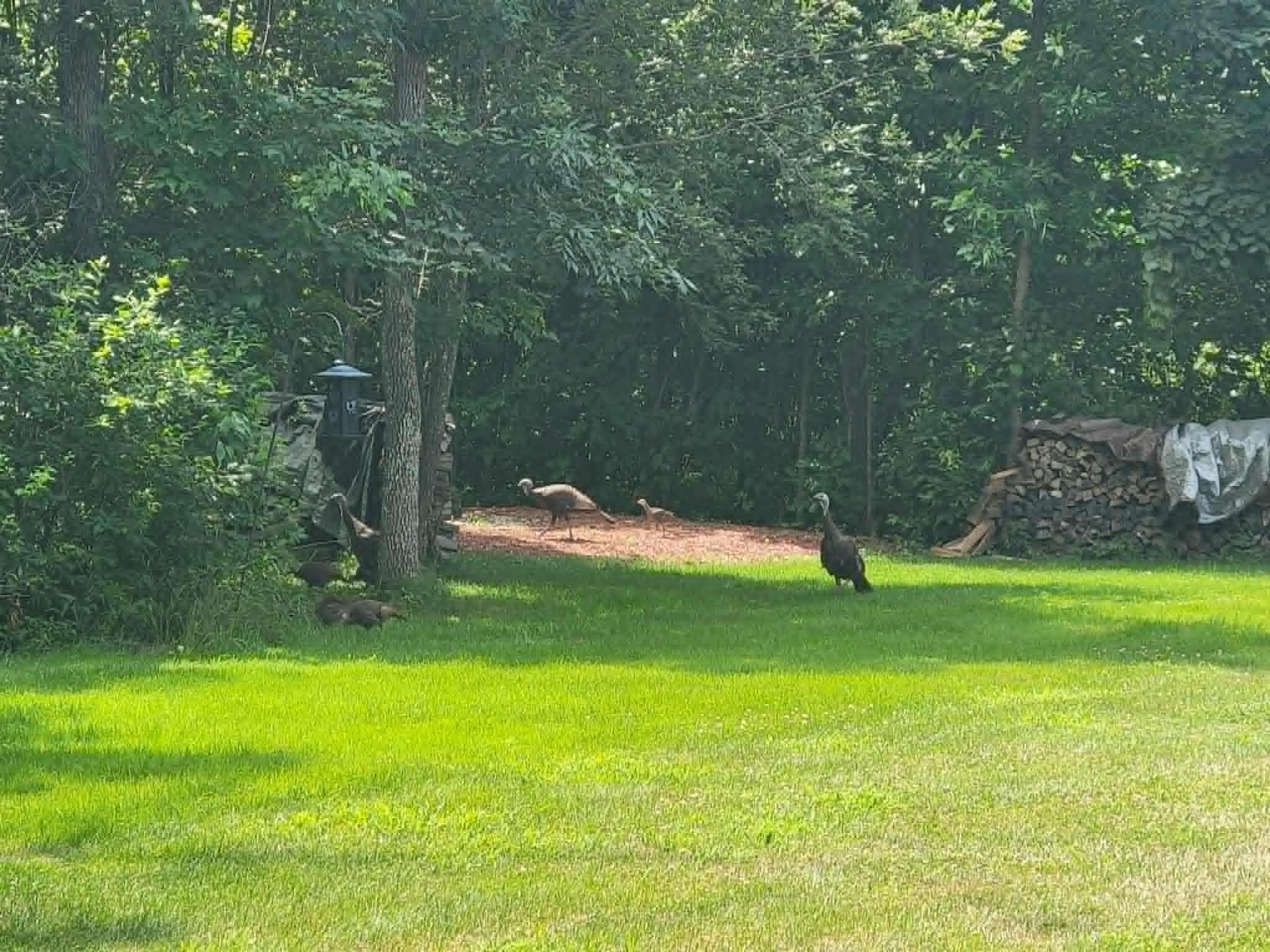 View of Residential at 7995 Trappers Turn, Onamia MN 56359, Onamia (9 of 45) - Mike Wilen | Minnesota Team Real Estate