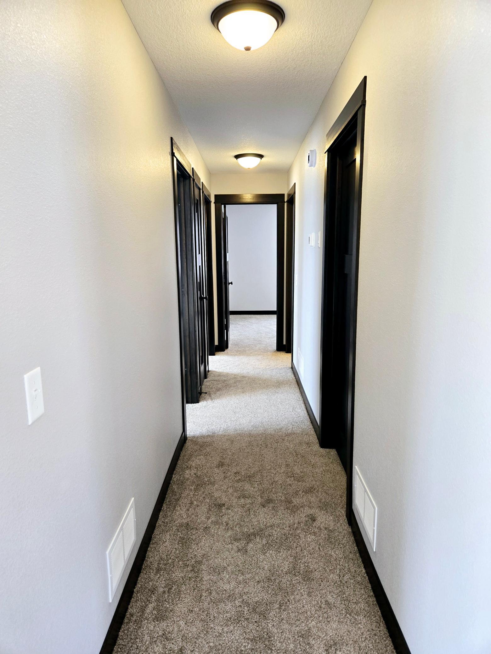 View of Residential at 800 Turril Street, Le Sueur MN 56058, Le Sueur (21 of 35) - Mike Wilen | Minnesota Team Real Estate