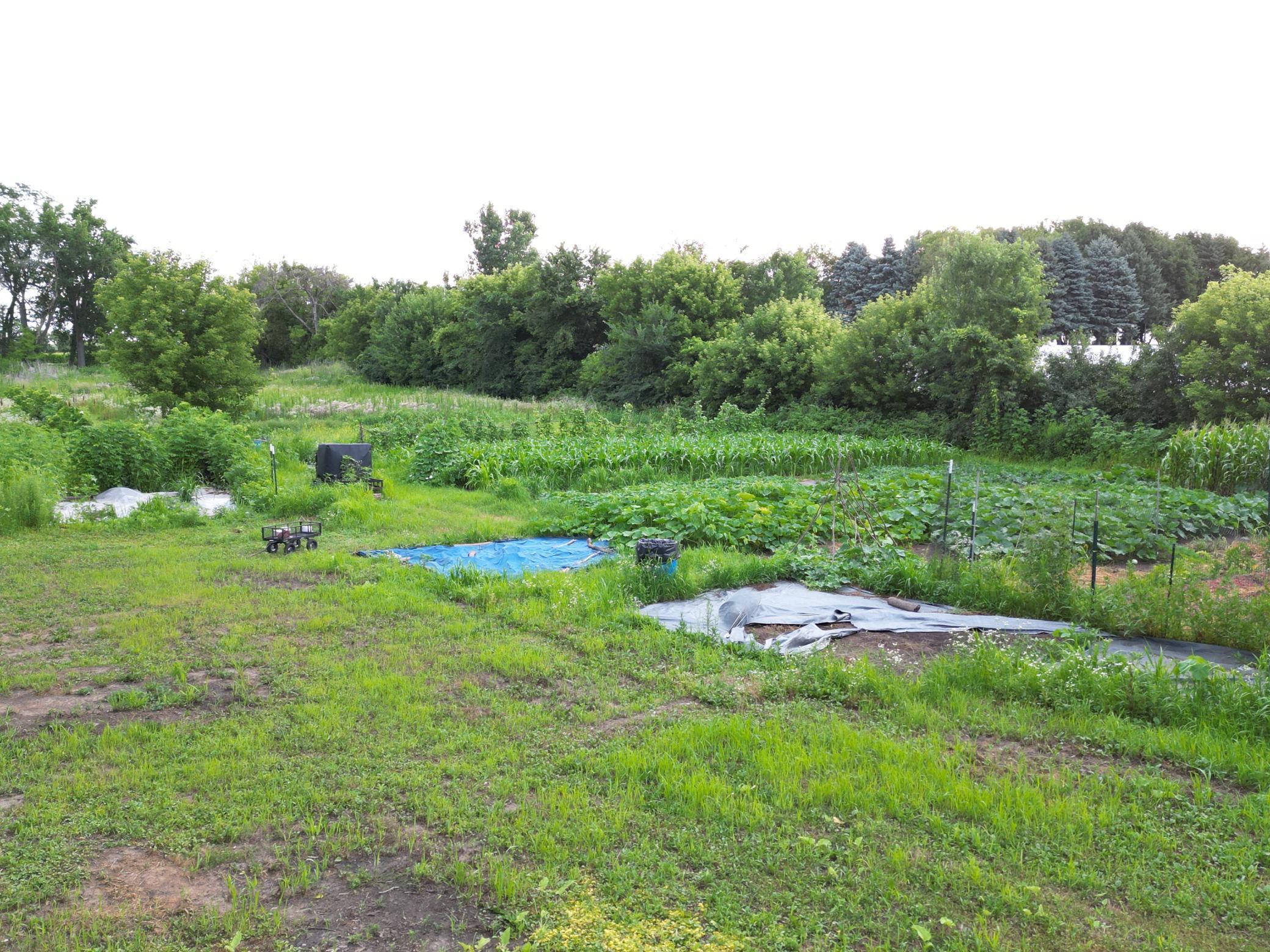 View of Land at 11405 77th Street, Cottage Grove MN 55016, Cottage Grove (16 of 18) - Mike Wilen | Minnesota Team Real Estate