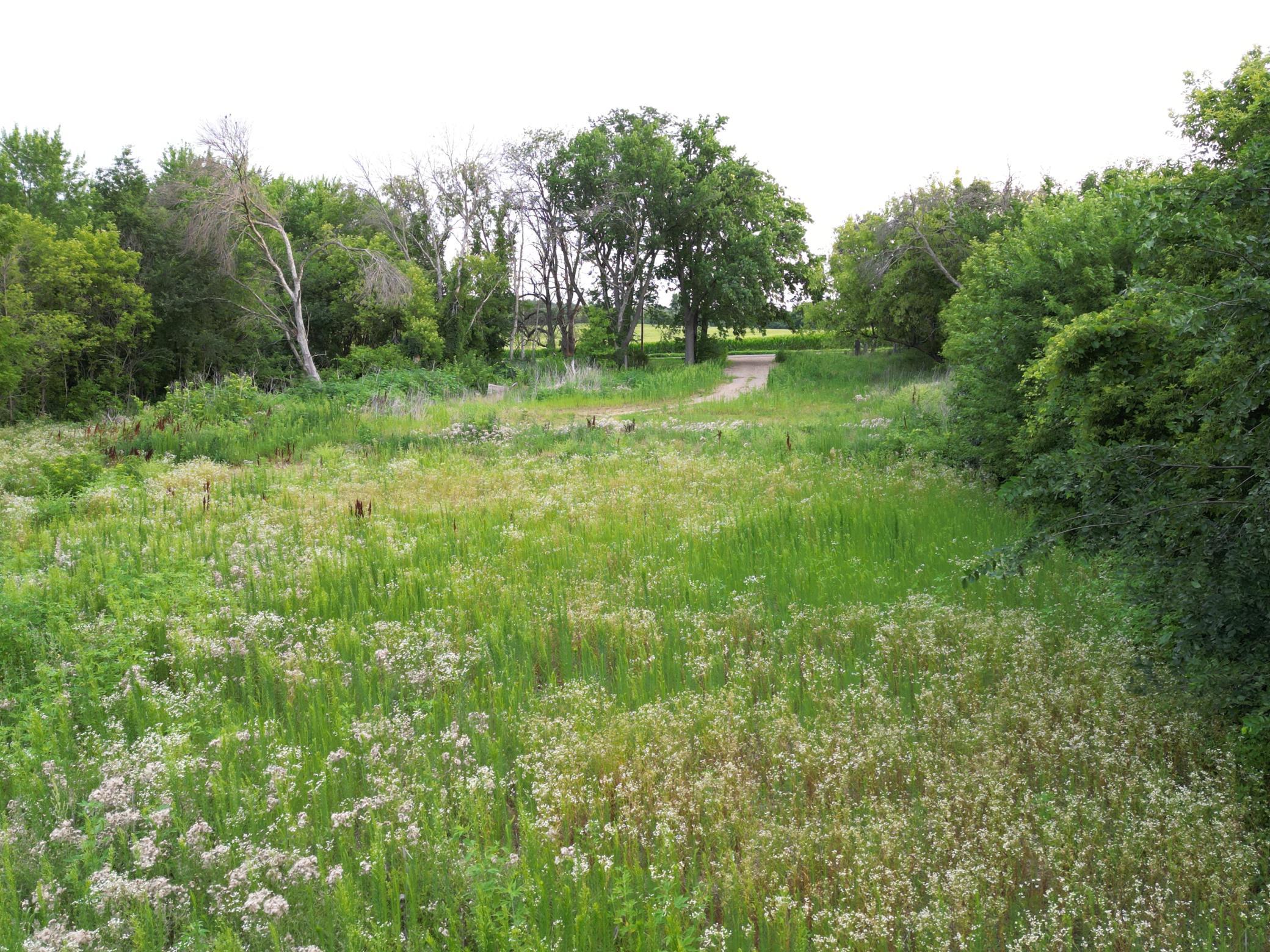 View of Land at 11405 77th Street, Cottage Grove MN 55016, Cottage Grove (12 of 18) - Mike Wilen | Minnesota Team Real Estate