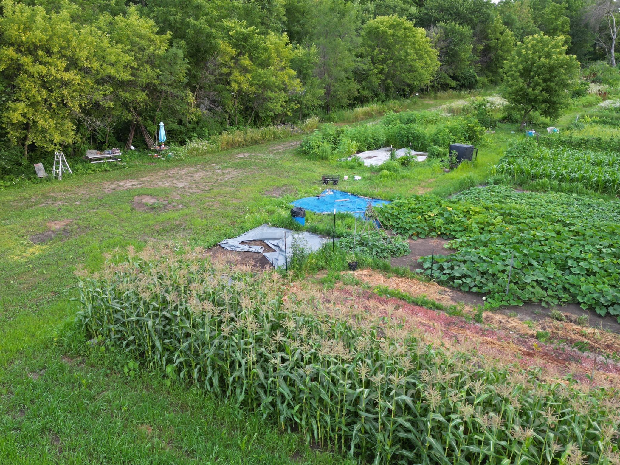 View of Land at 11405 77th Street, Cottage Grove MN 55016, Cottage Grove (11 of 18) - Mike Wilen | Minnesota Team Real Estate