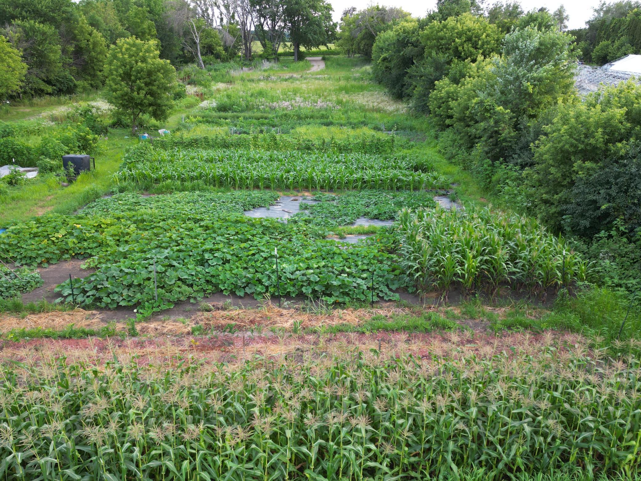 View of Land at 11405 77th Street, Cottage Grove MN 55016, Cottage Grove (10 of 18) - Mike Wilen | Minnesota Team Real Estate