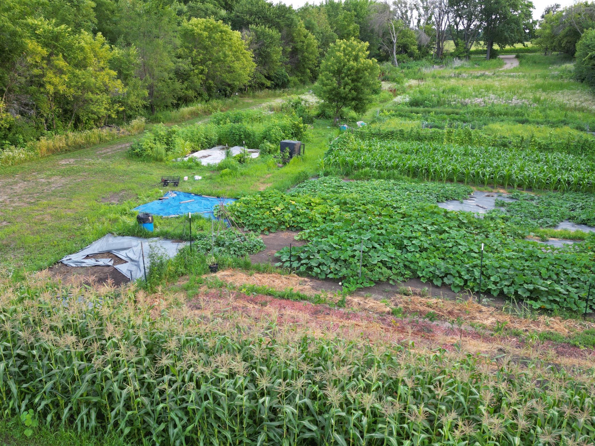 View of Land at 11405 77th Street, Cottage Grove MN 55016, Cottage Grove (9 of 18) - Mike Wilen | Minnesota Team Real Estate