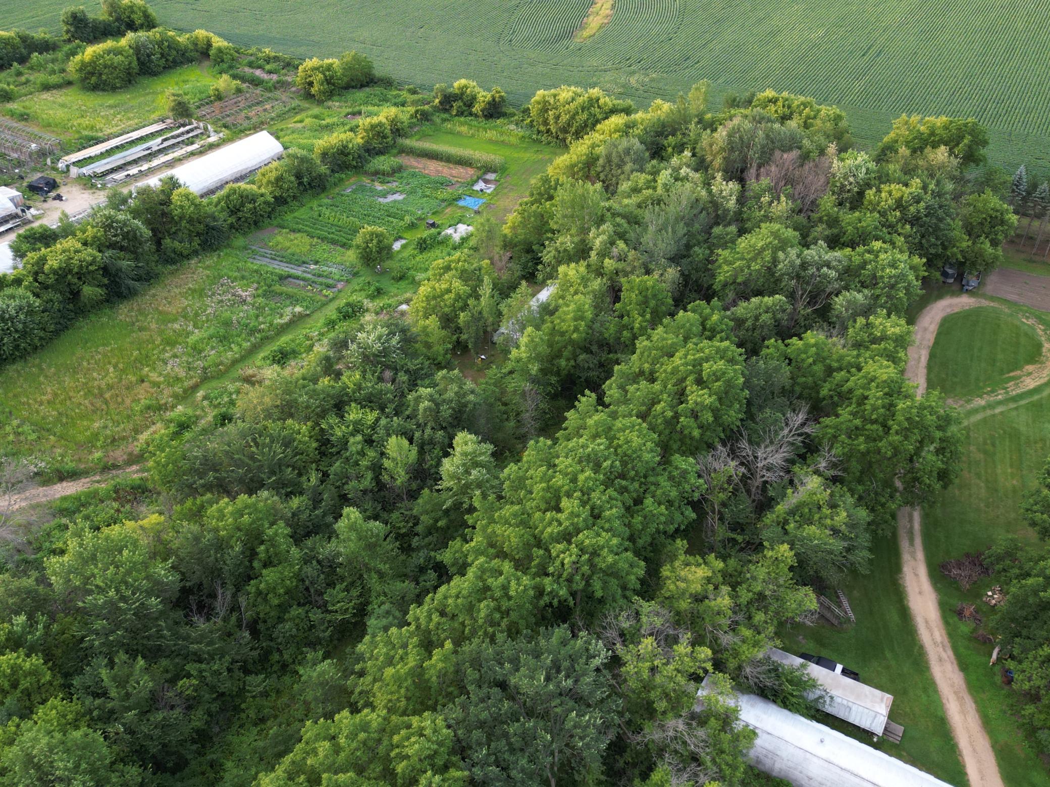 View of Land at 11405 77th Street, Cottage Grove MN 55016, Cottage Grove (6 of 18) - Mike Wilen | Minnesota Team Real Estate
