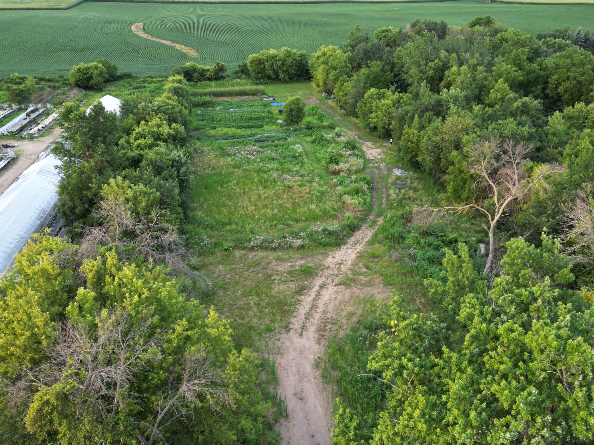 View of Land at 11405 77th Street, Cottage Grove MN 55016, Cottage Grove - Mike Wilen | Minnesota Team Real Estate