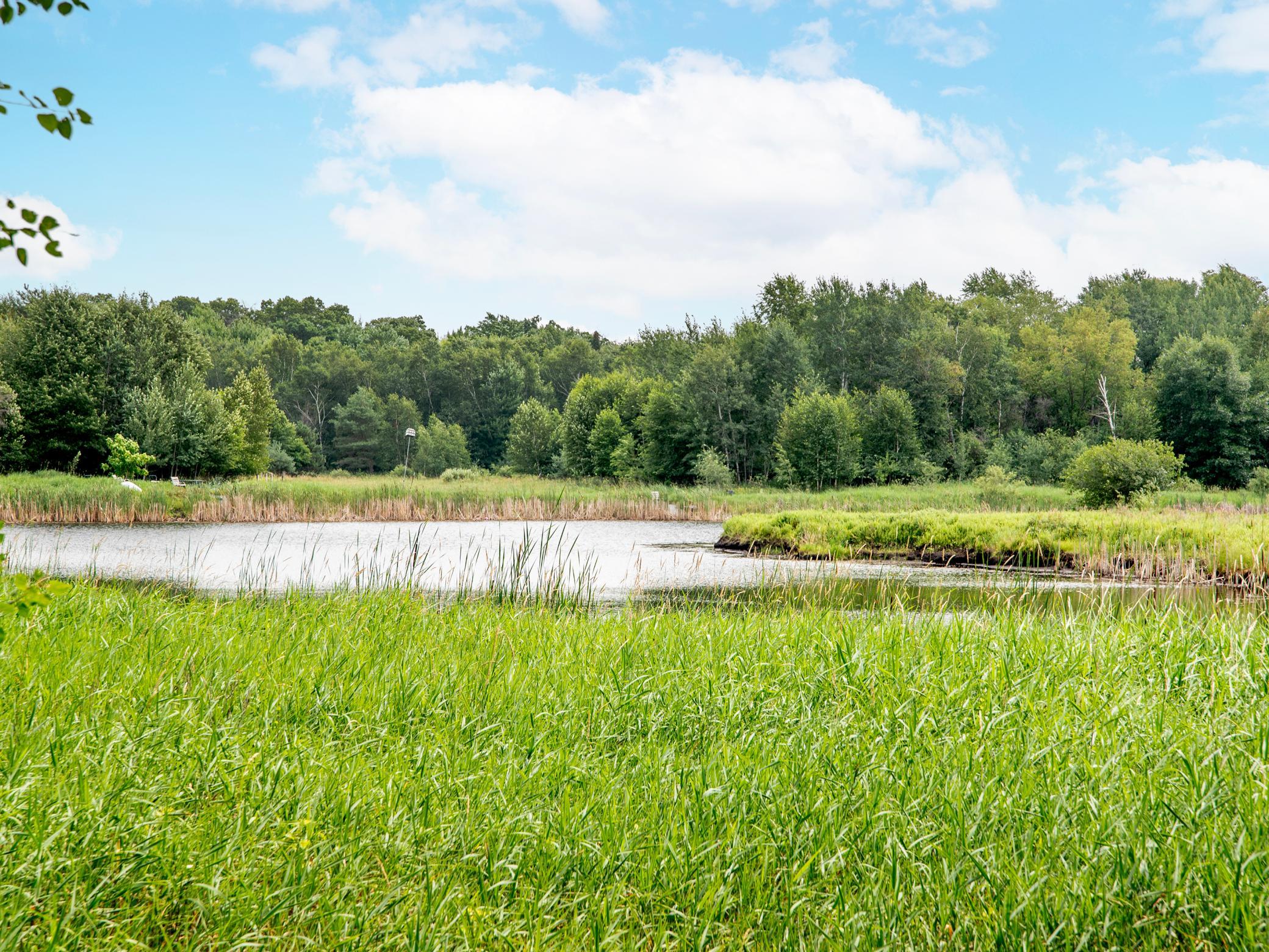 View of Residential at 14245 Guadalcanal Street, Ham Lake MN 55304, Ham Lake (22 of 63) - Mike Wilen | Minnesota Team Real Estate