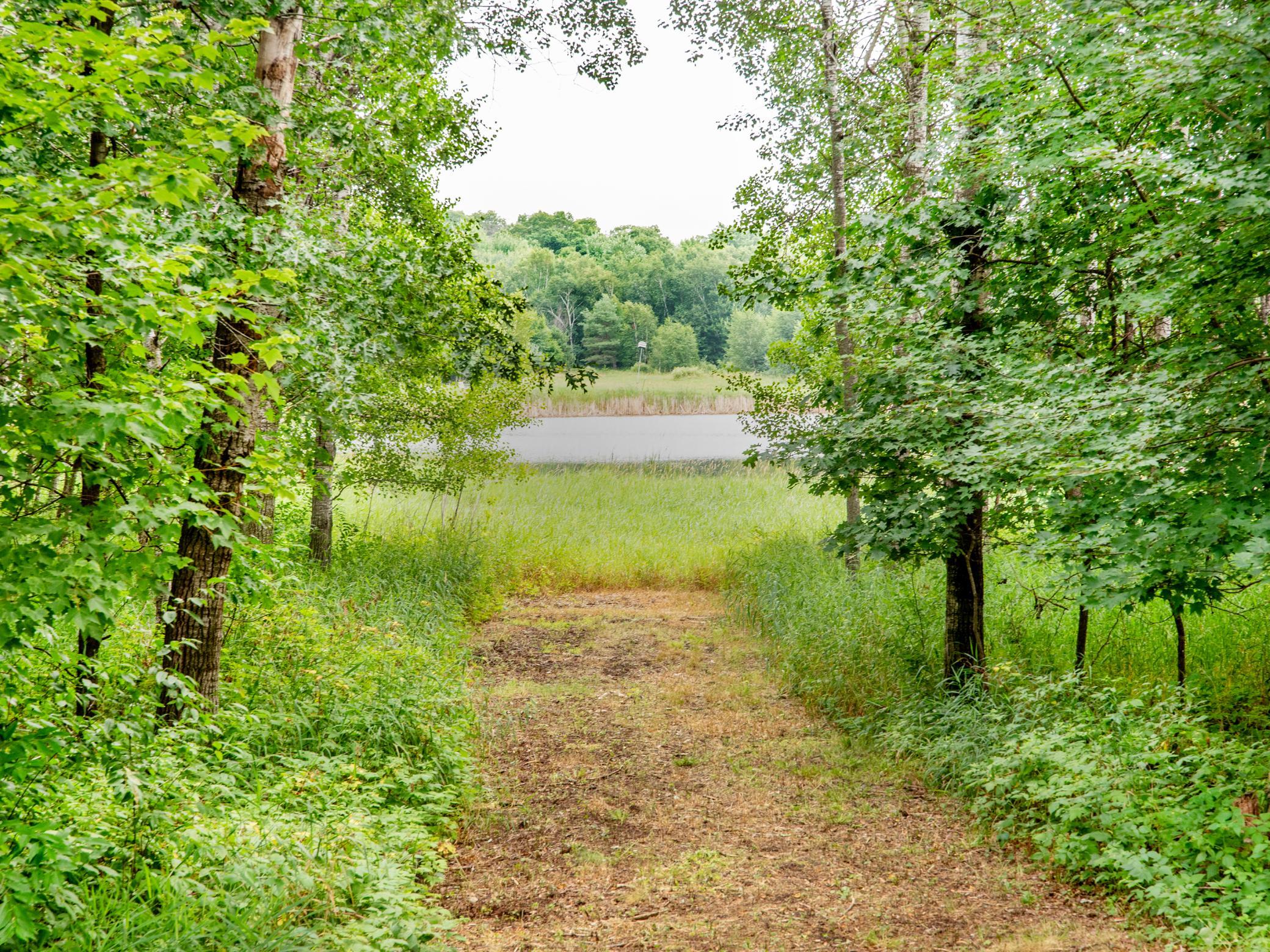 View of Residential at 14245 Guadalcanal Street, Ham Lake MN 55304, Ham Lake (21 of 63) - Mike Wilen | Minnesota Team Real Estate
