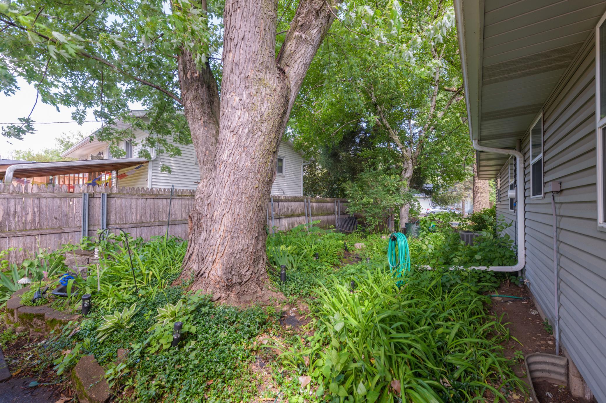View of Residential at 2024 Maple Street, Hastings MN 55033, Hastings (40 of 43) - Mike Wilen | Minnesota Team Real Estate