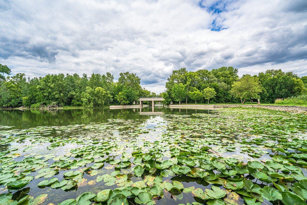 View of Residential at 2895 James Avenue #4, Minneapolis MN 55408, Minneapolis (42 of 47) - Mike Wilen | Minnesota Team Real Estate