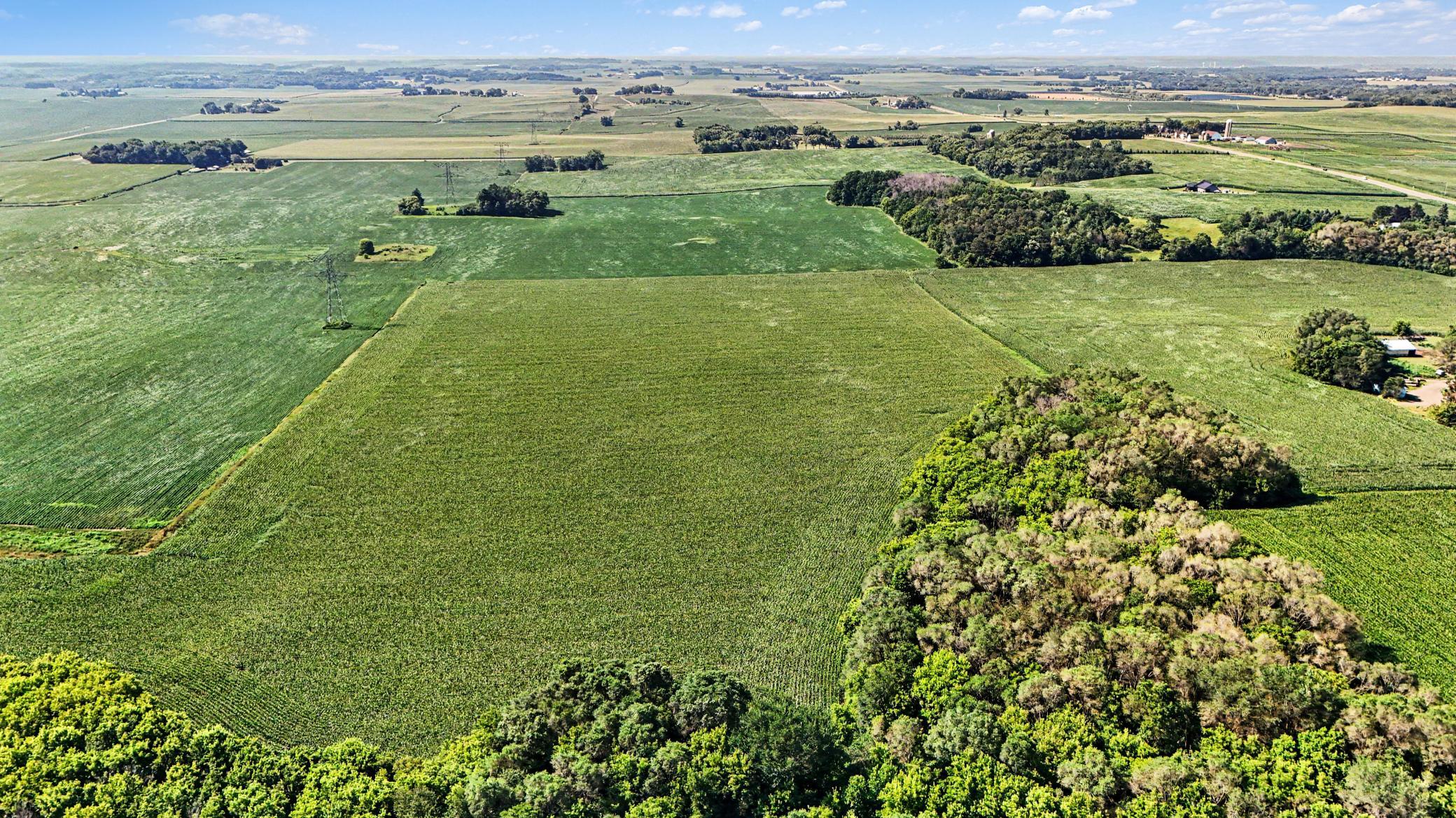 View of Land at TBD 50th St S, Afton MN 55001, Afton (9 of 11) - Mike Wilen | Minnesota Team Real Estate