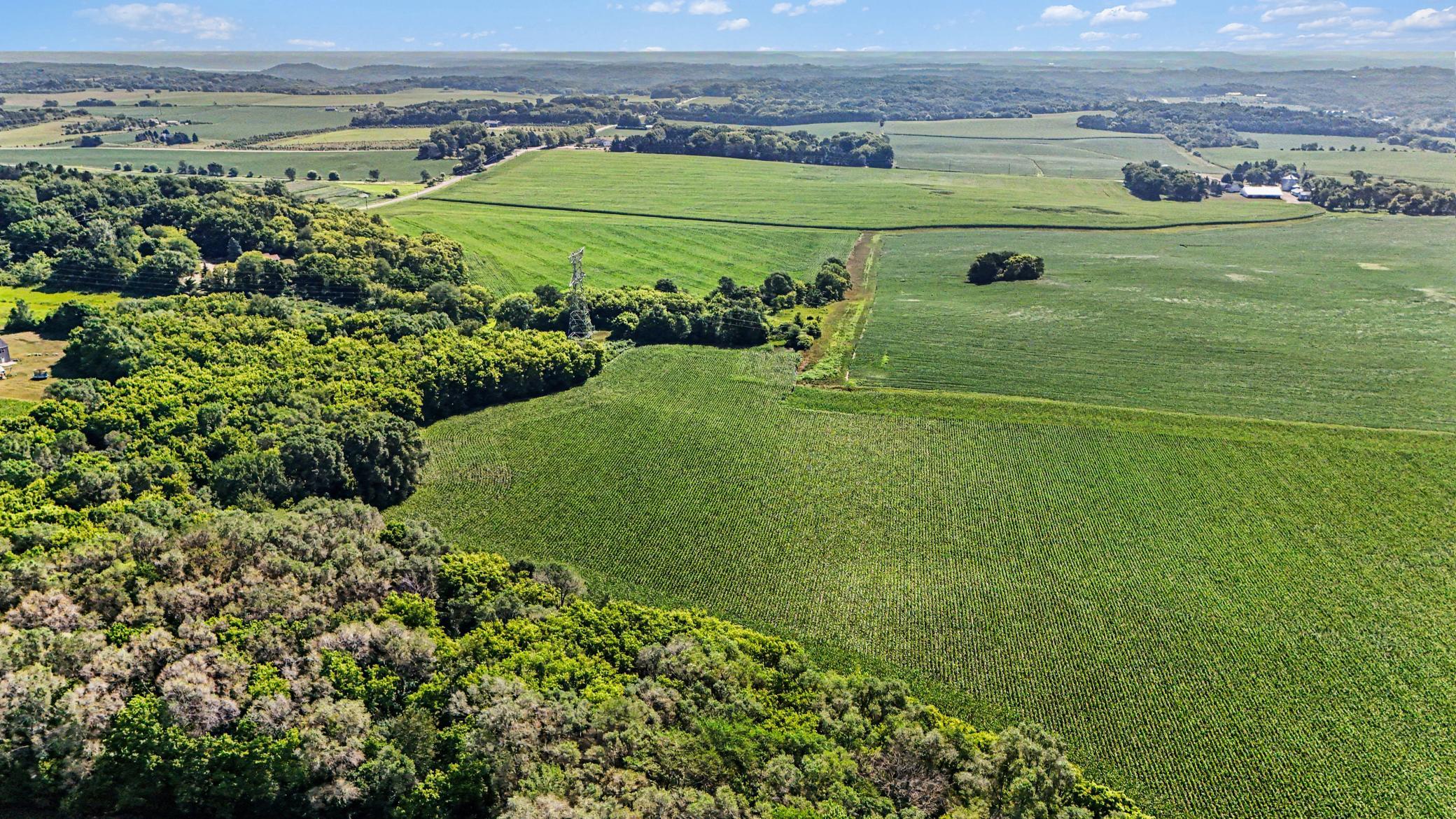 View of Land at TBD 50th St S, Afton MN 55001, Afton (8 of 11) - Mike Wilen | Minnesota Team Real Estate