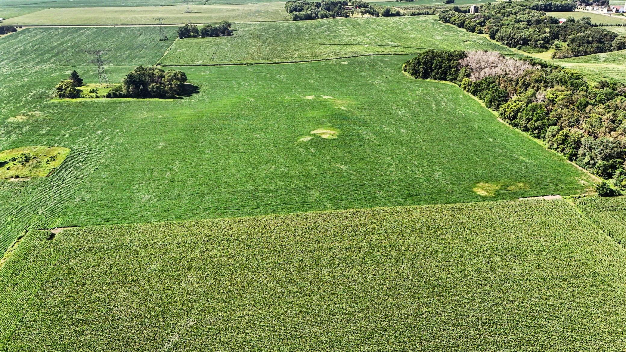 View of Land at TBD 50th St S, Afton MN 55001, Afton (4 of 11) - Mike Wilen | Minnesota Team Real Estate
