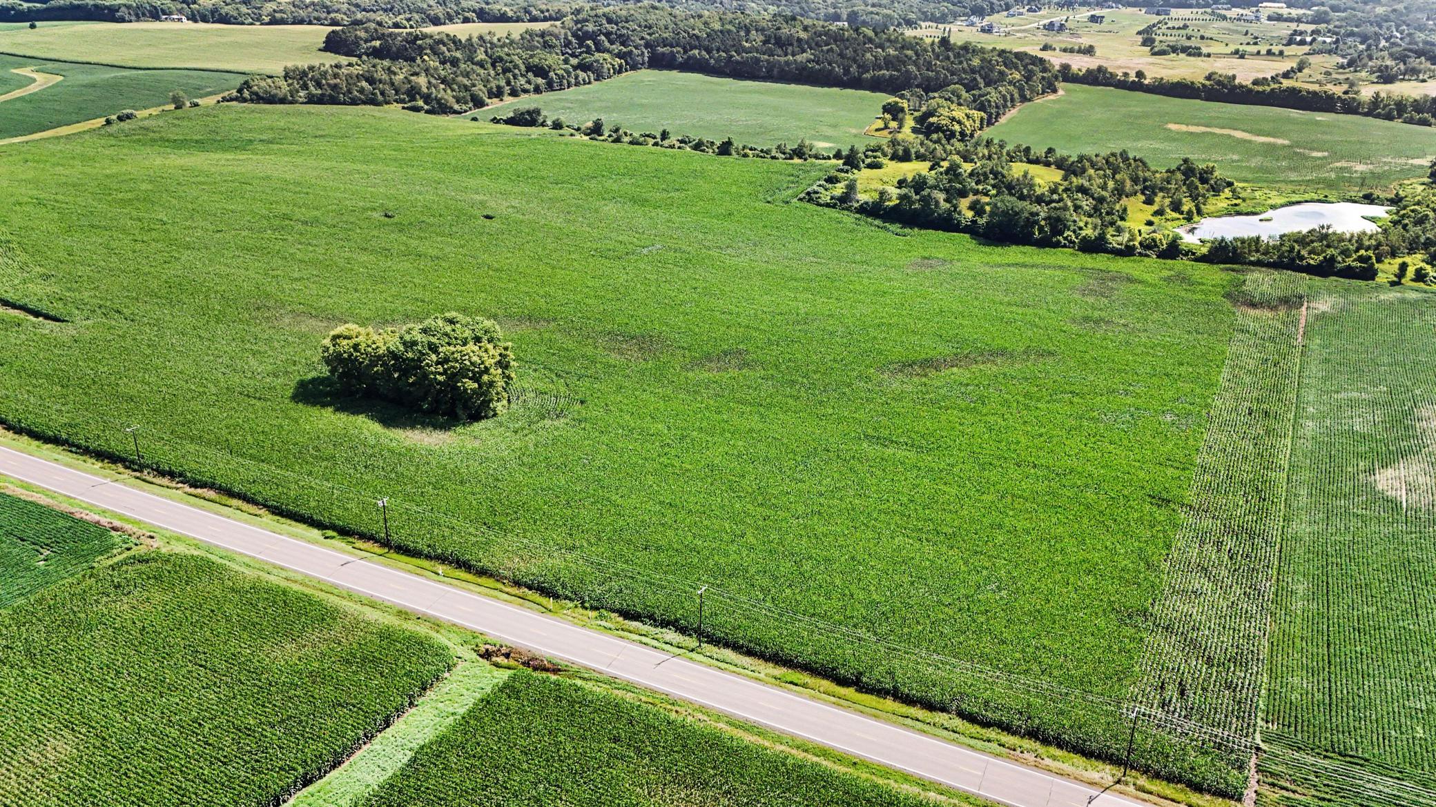 View of Land at TBD 50th St S, Afton MN 55001, Afton (3 of 11) - Mike Wilen | Minnesota Team Real Estate