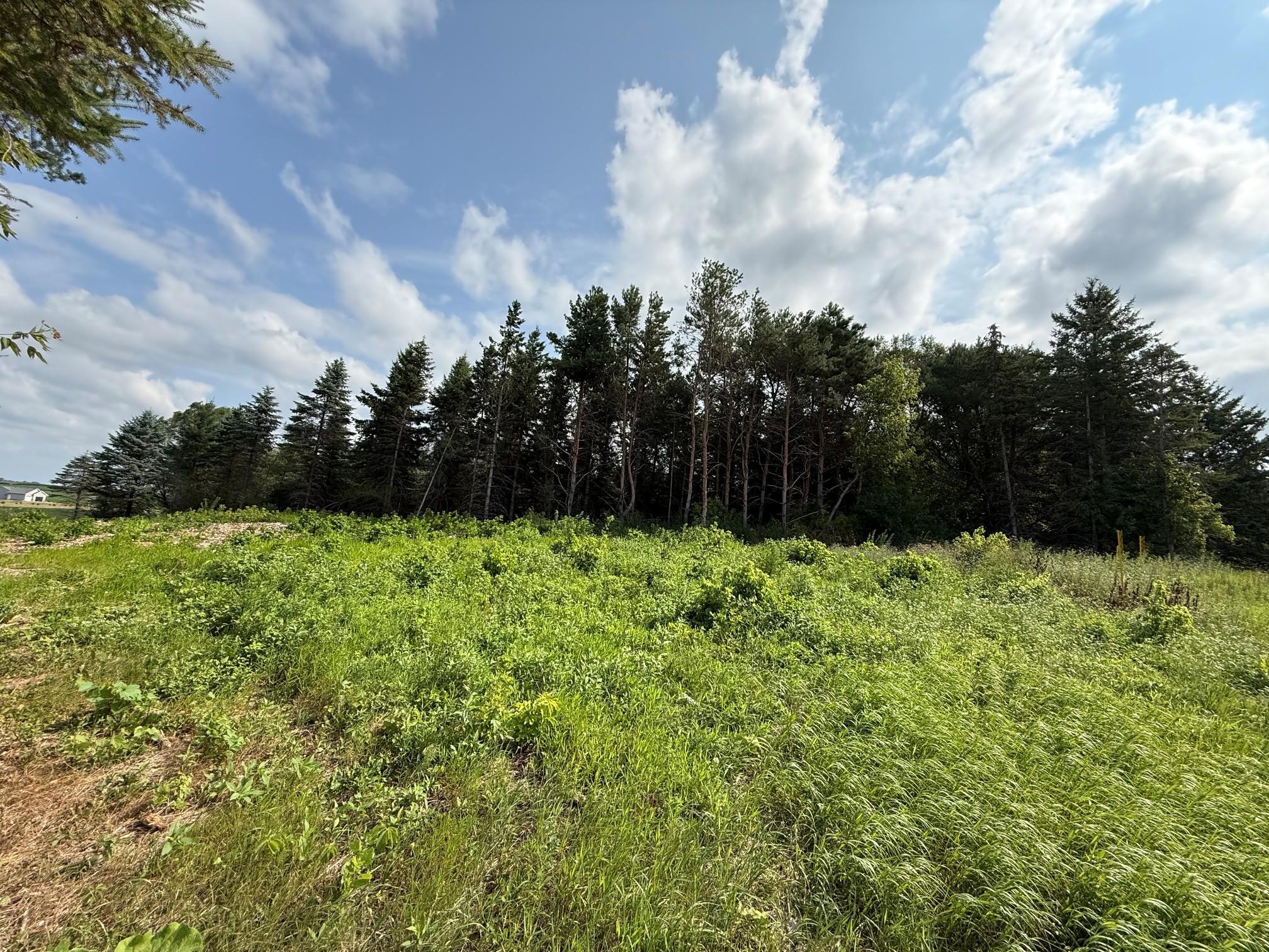 View of Land at Lot B Lehigh Road, Cottage Grove MN 55016, Cottage Grove (4 of 13) - Mike Wilen | Minnesota Team Real Estate