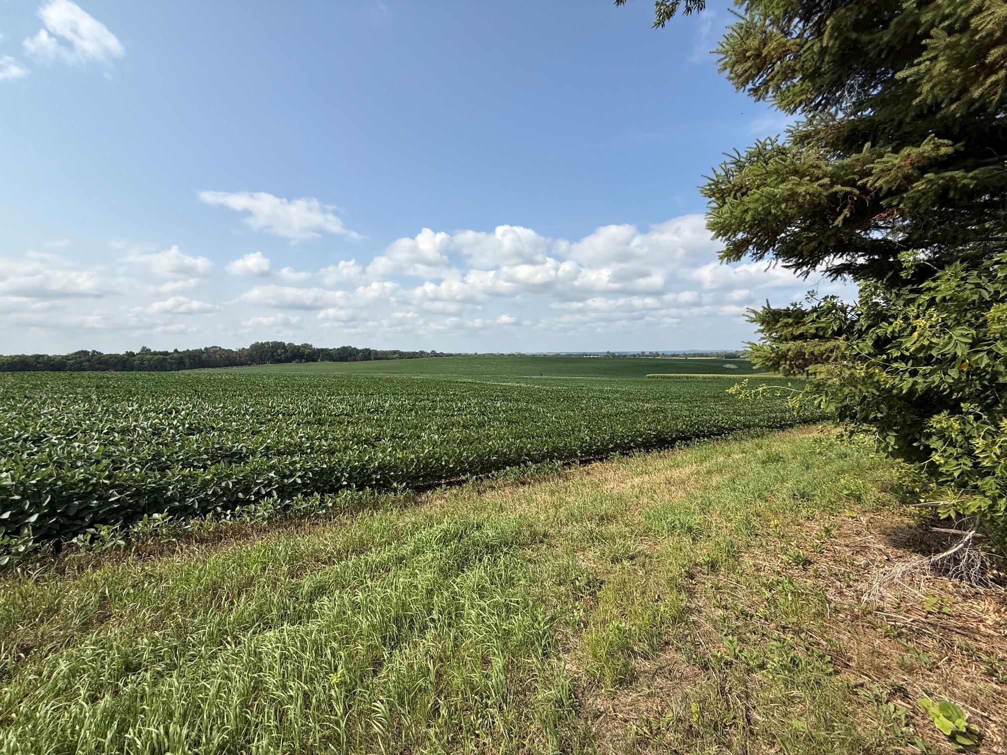 View of Land at Lot B Lehigh Road, Cottage Grove MN 55016, Cottage Grove (3 of 13) - Mike Wilen | Minnesota Team Real Estate