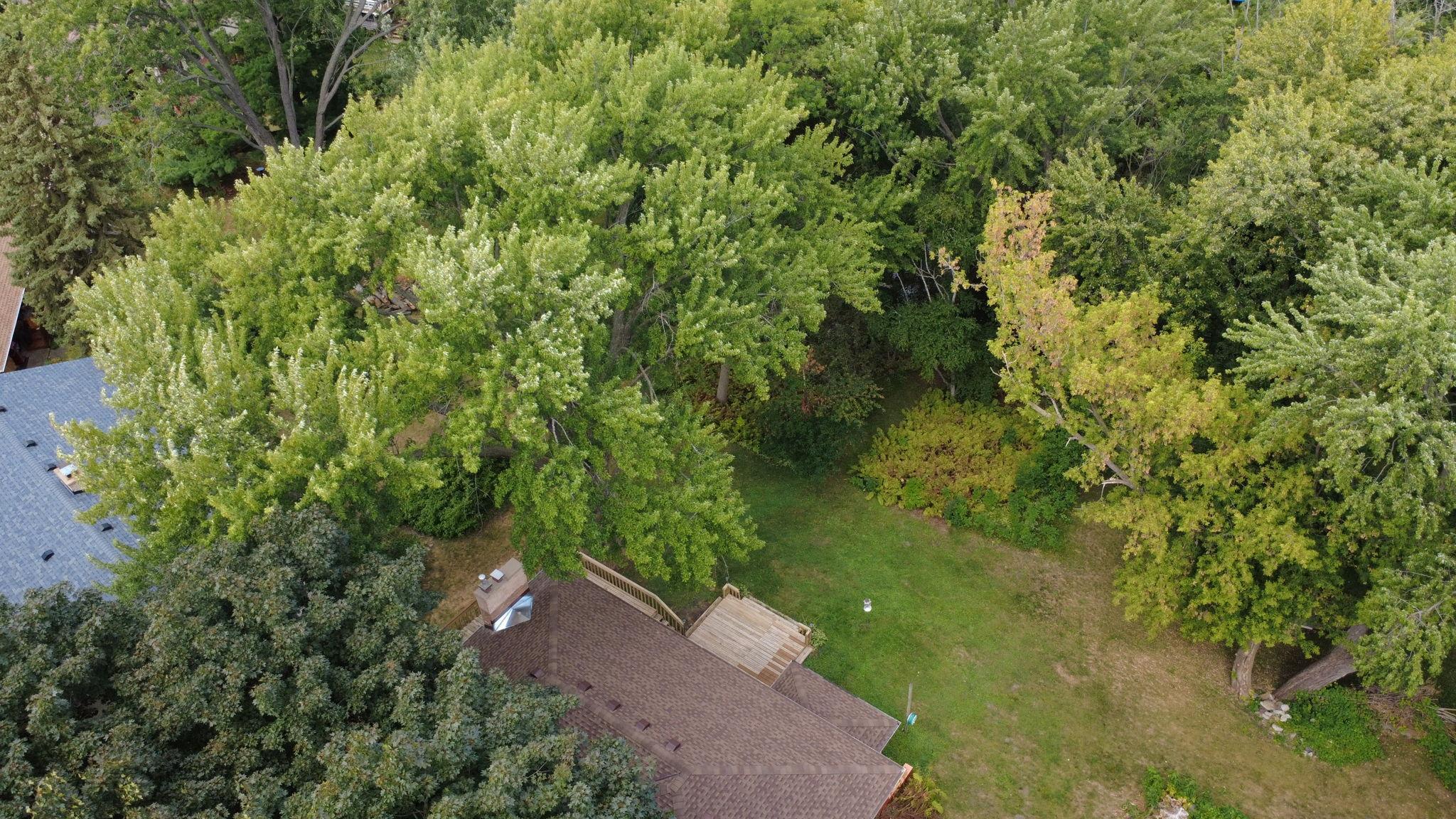 View of Residential at 451 Rice Creek Terrace, Fridley MN 55432, Fridley (32 of 37) - Mike Wilen | Minnesota Team Real Estate