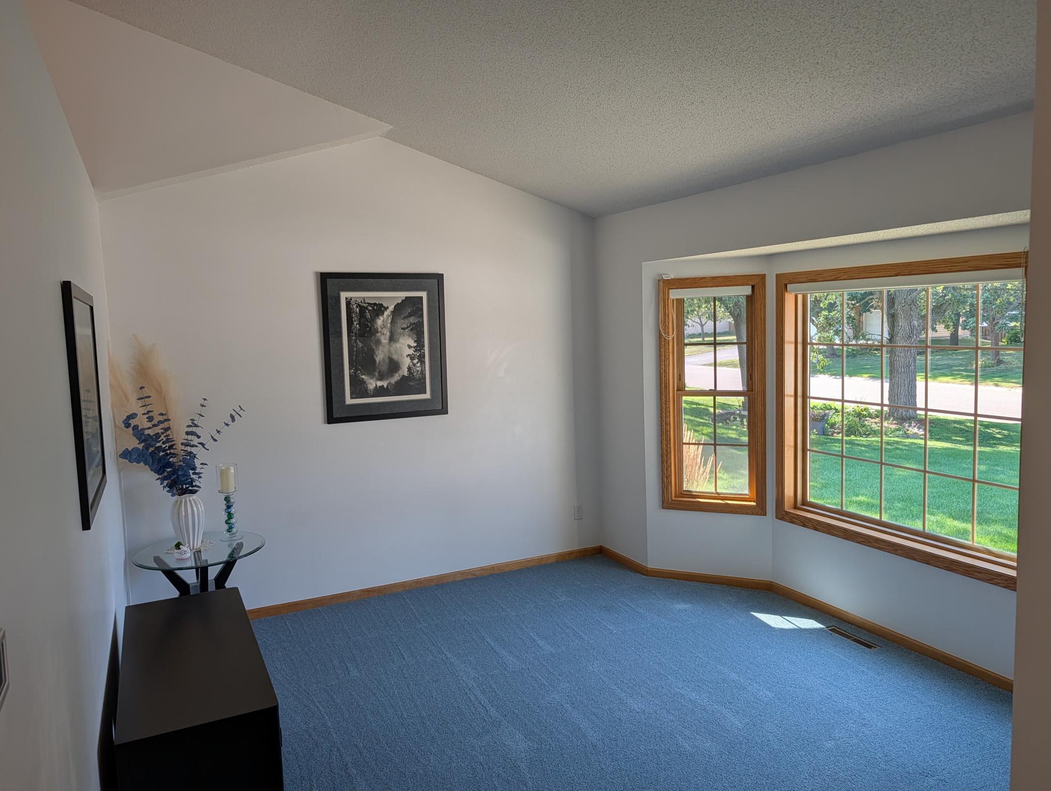 View of Residential at 15235 Yellow Pine Street, Andover MN 55304, Andover (46 of 48) - Mike Wilen | Minnesota Team Real Estate