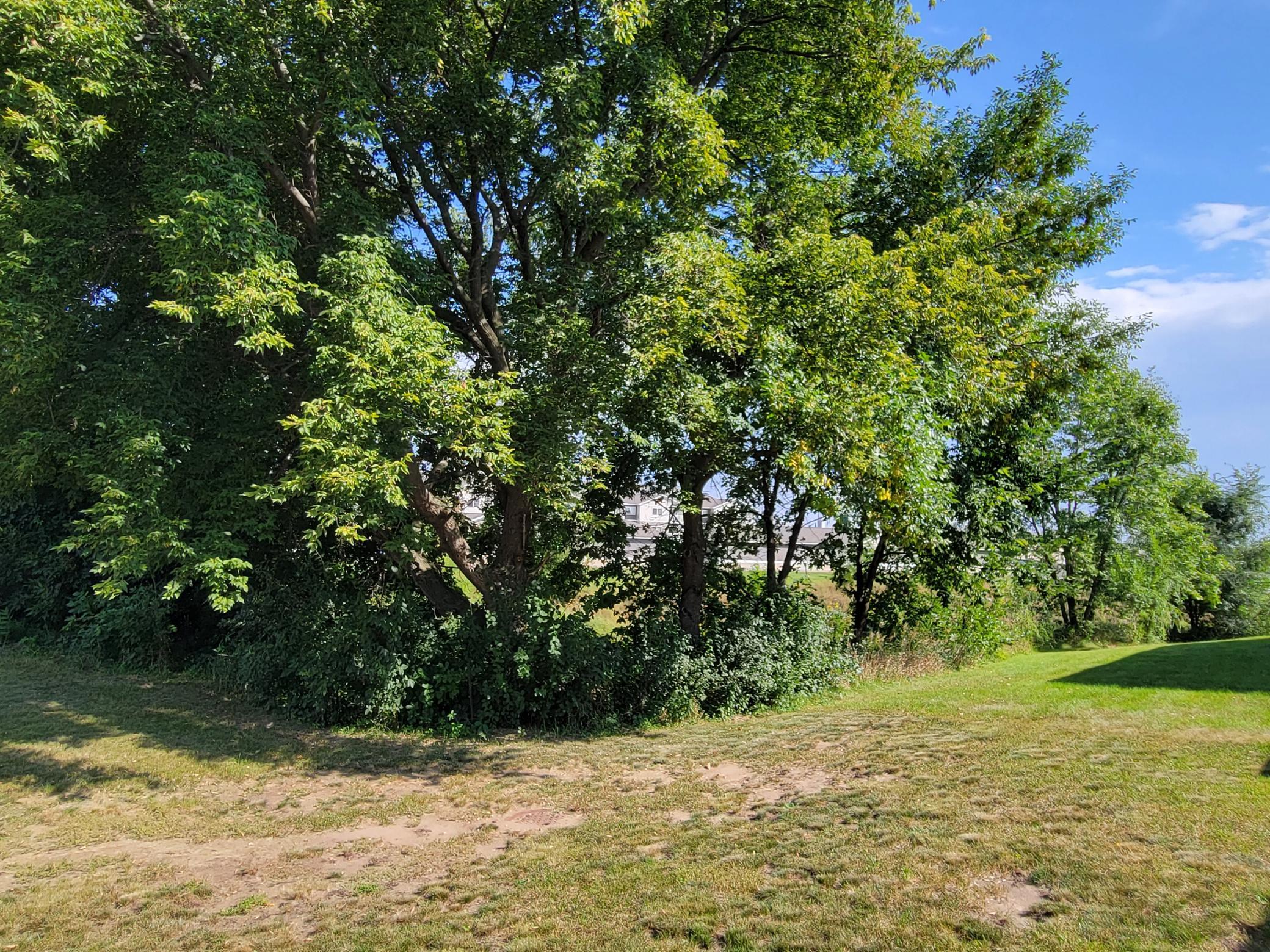 View of Residential at 316 Jefferson Lane, Saint Joseph MN 56374, Saint Joseph (33 of 33) - Mike Wilen | Minnesota Team Real Estate
