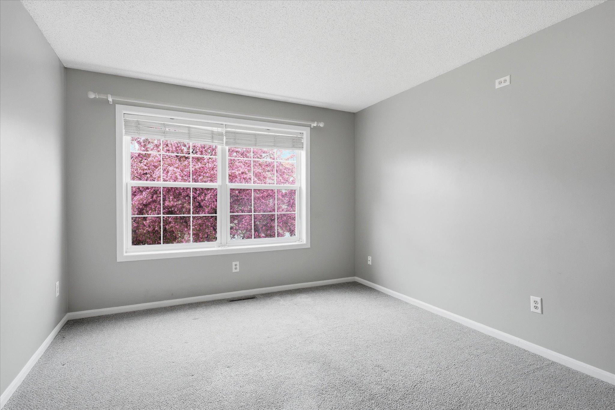 View of Residential at 18902 96th Place, Maple Grove MN 55311, Maple Grove (29 of 30) - Mike Wilen | Minnesota Team Real Estate