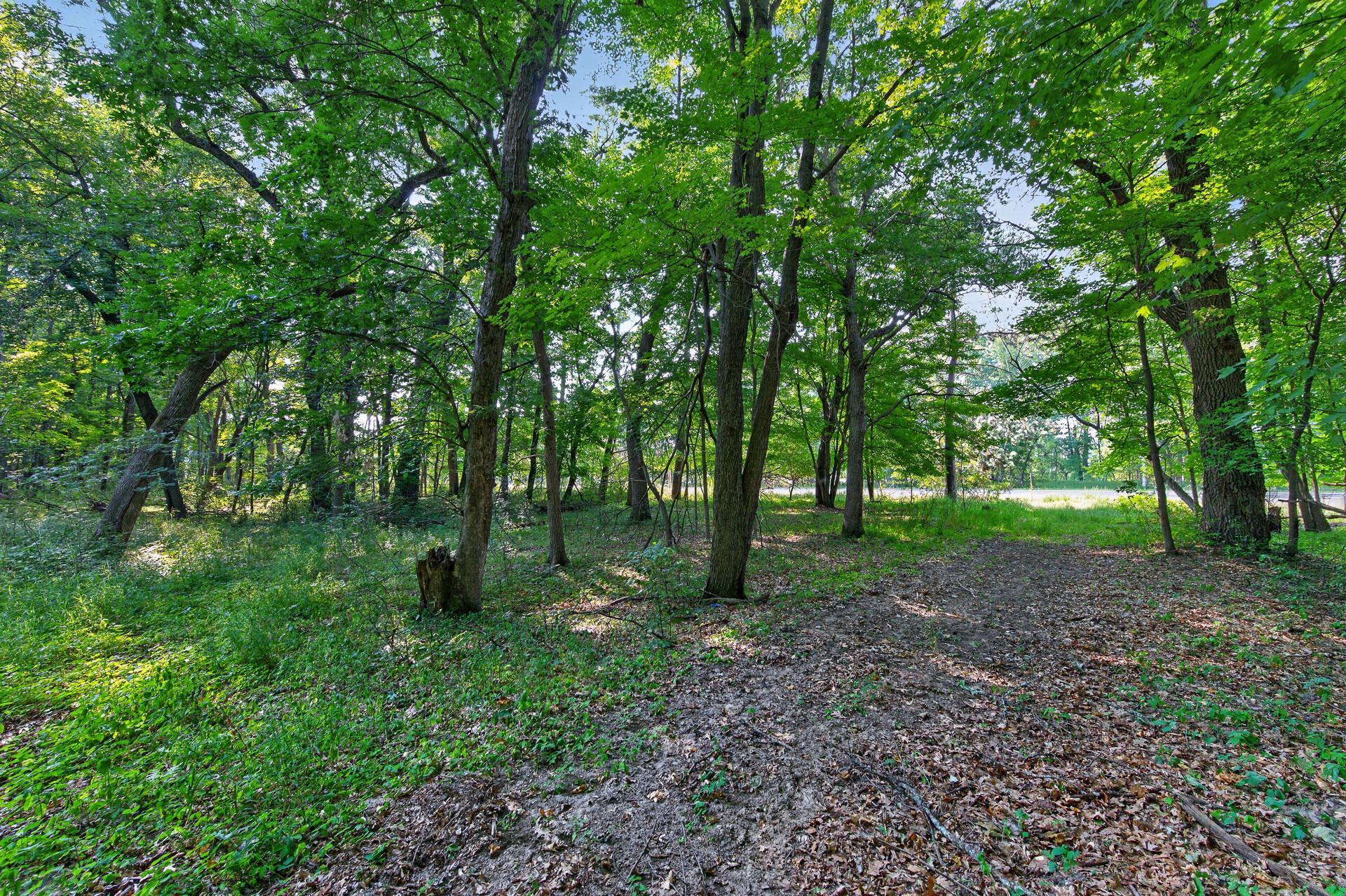 View of Land at 8055 Fawn Lake Drive, Linwood Twp MN 55079, Linwood Twp (12 of 18) - Mike Wilen | Minnesota Team Real Estate