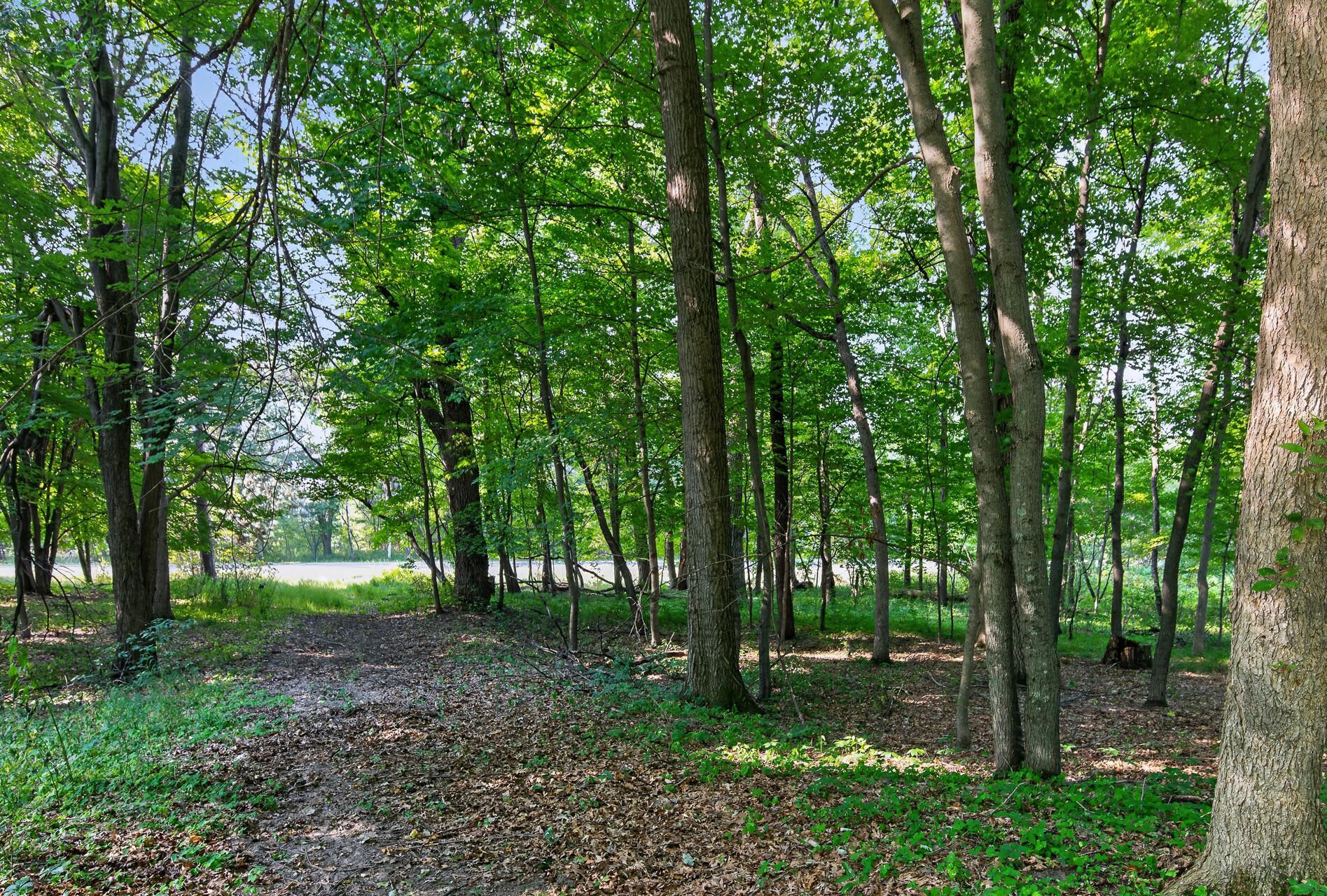 View of Land at 8055 Fawn Lake Drive, Linwood Twp MN 55079, Linwood Twp (11 of 18) - Mike Wilen | Minnesota Team Real Estate