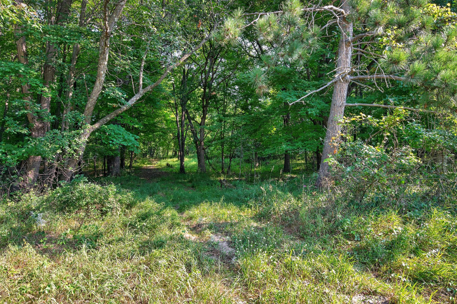 View of Land at 8055 Fawn Lake Drive, Linwood Twp MN 55079, Linwood Twp (13 of 18) - Mike Wilen | Minnesota Team Real Estate