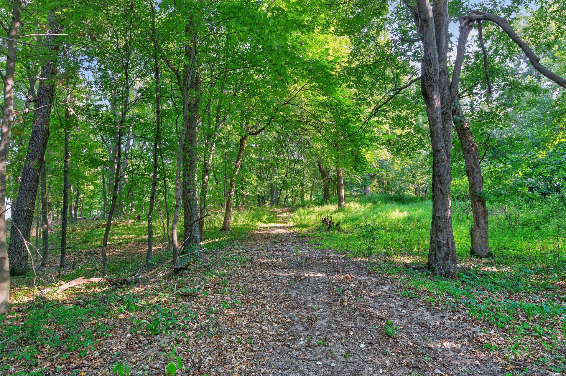 View of Land at 8055 Fawn Lake Drive, Linwood Twp MN 55079, Linwood Twp (10 of 18) - Mike Wilen | Minnesota Team Real Estate