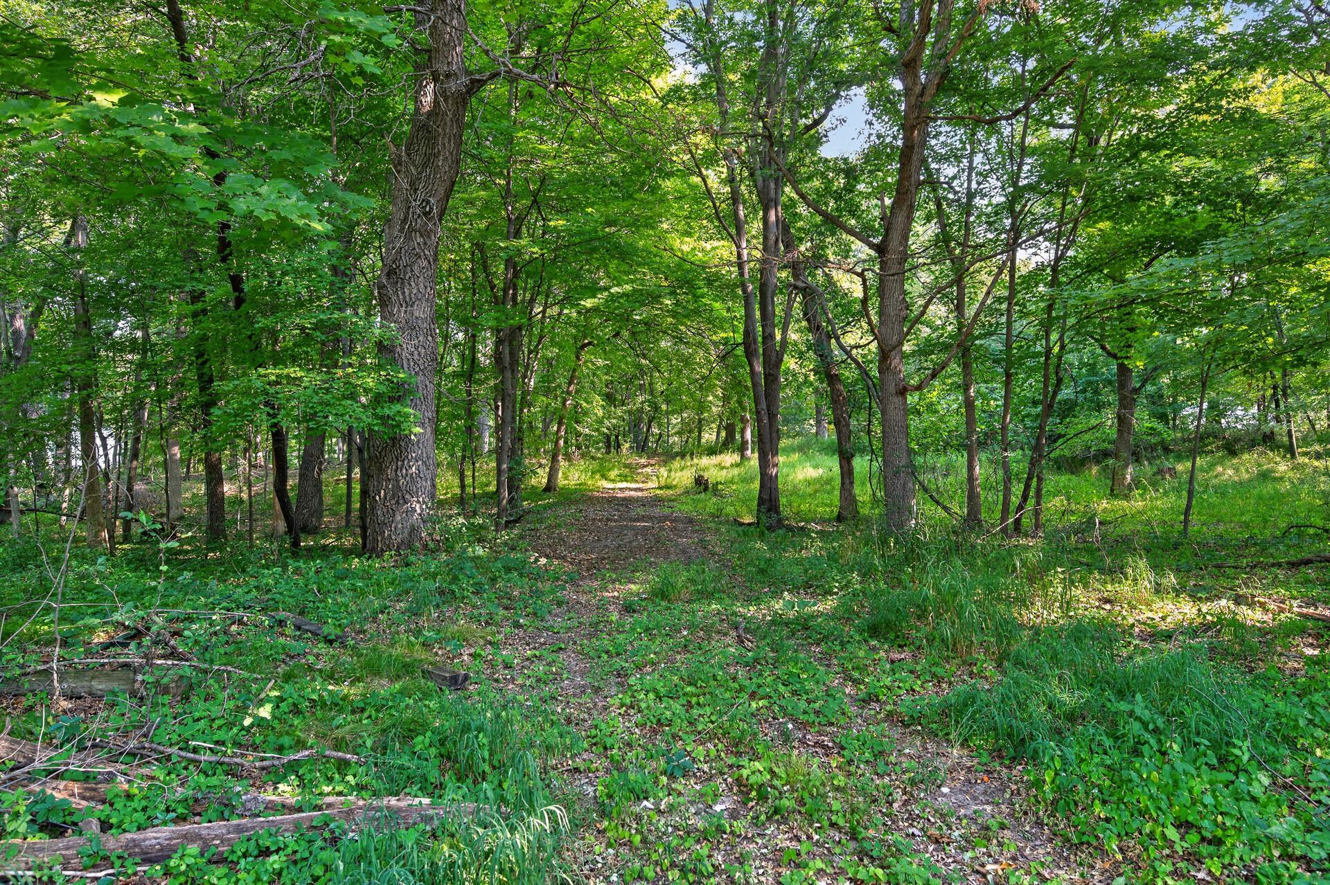 View of Land at 8055 Fawn Lake Drive, Linwood Twp MN 55079, Linwood Twp (9 of 18) - Mike Wilen | Minnesota Team Real Estate