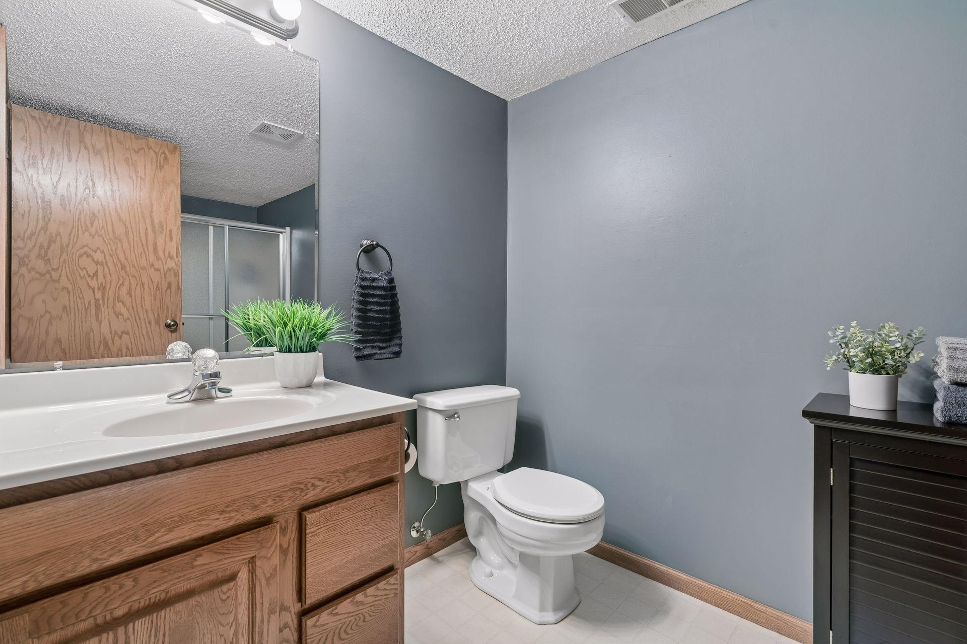View of Residential at 6090 145th Lane, Ramsey MN 55303, Ramsey (25 of 49) - Mike Wilen | Minnesota Team Real Estate