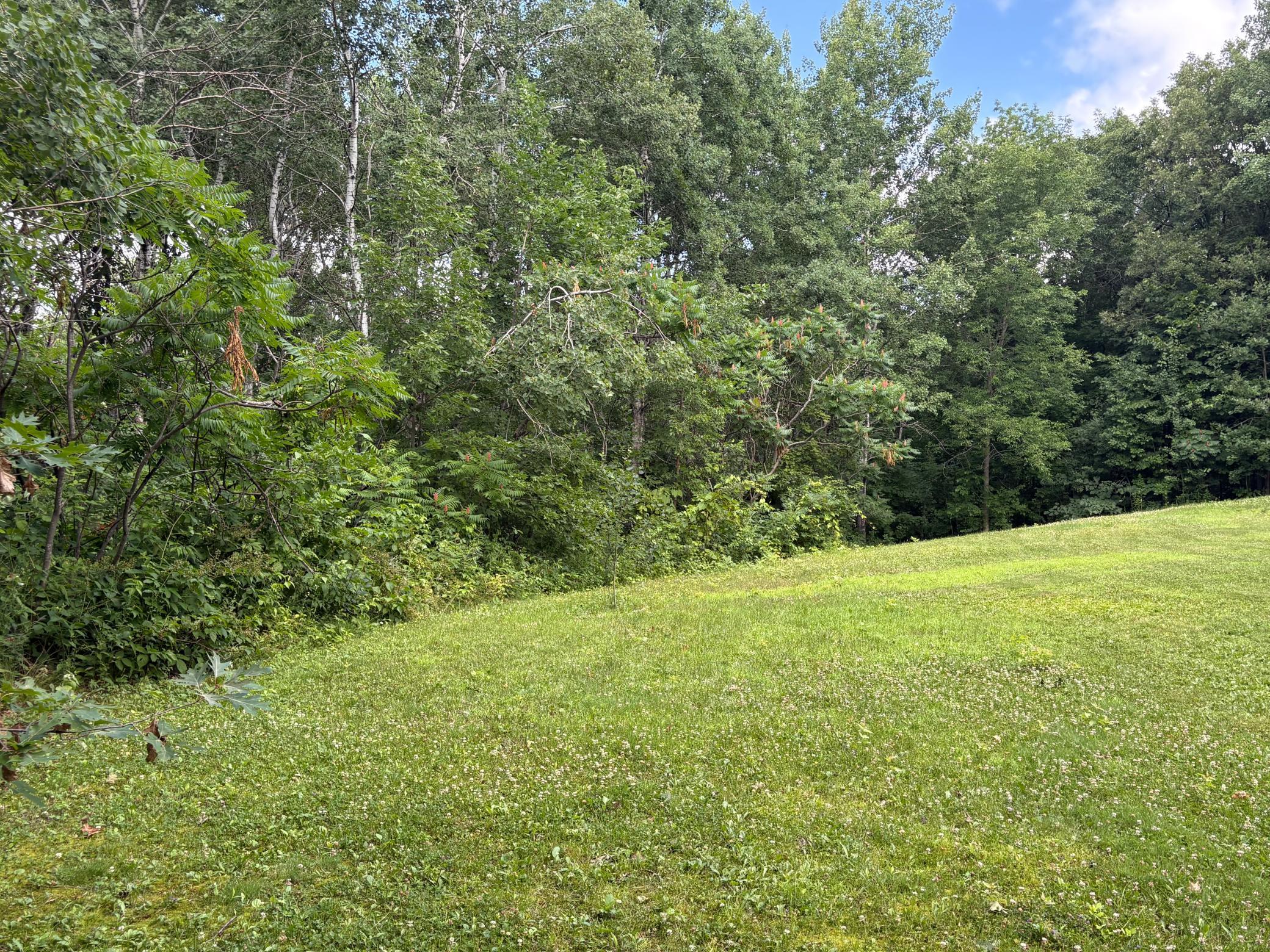 View of Land at 18486 Short Cut, Garrison MN 56450, Garrison (14 of 17) - Mike Wilen | Minnesota Team Real Estate