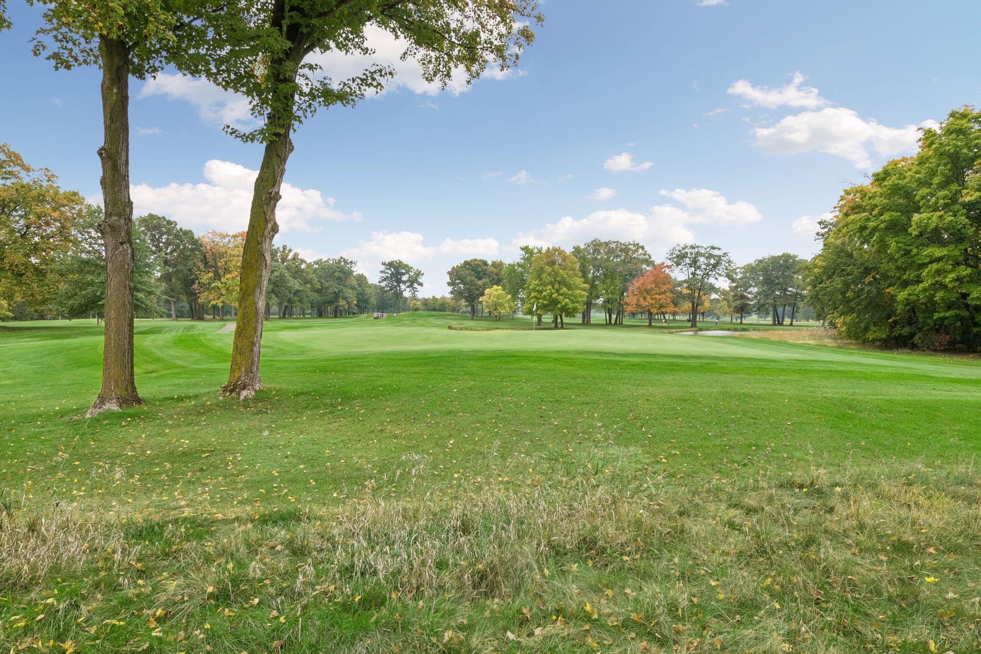 View of Residential at 655 Shawnee Woods Road, Medina MN 55340, Medina (5 of 53) - Mike Wilen | Minnesota Team Real Estate