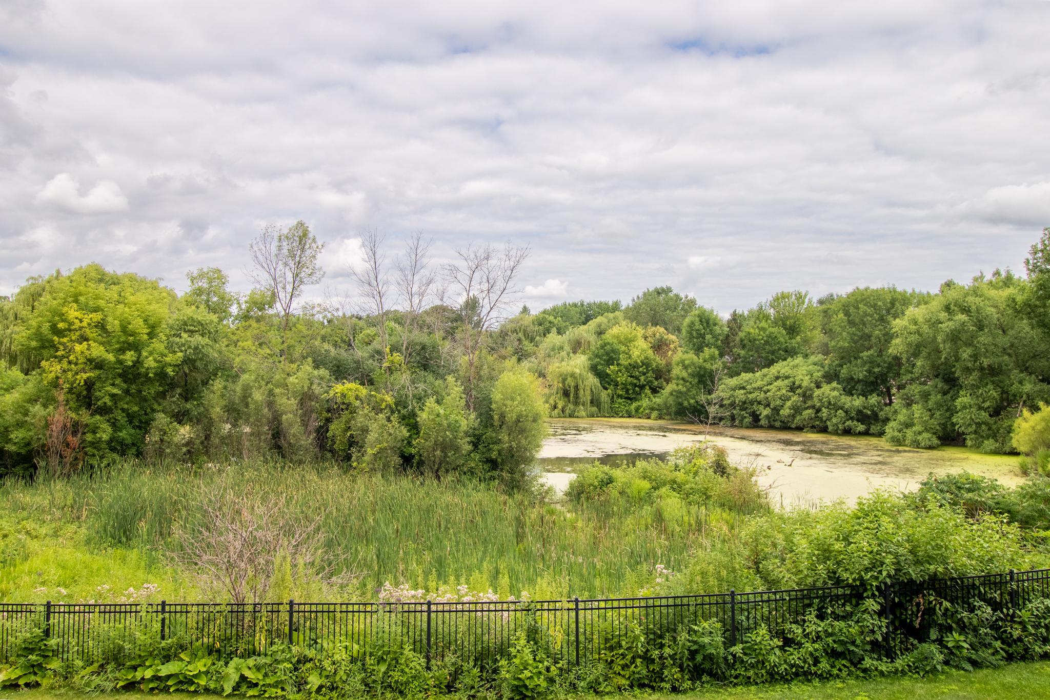 View of Residential at 6739 Yellowstone Lane, Maple Grove MN 55311, Maple Grove (58 of 64) - Mike Wilen | Minnesota Team Real Estate