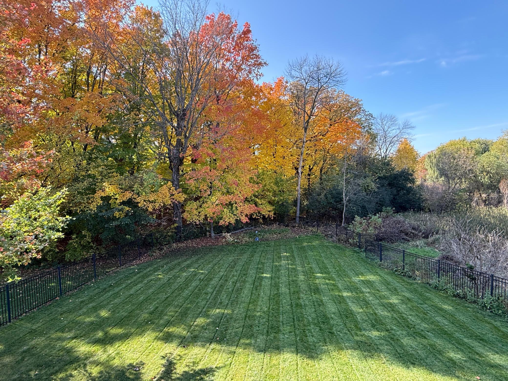 View of Residential at 6739 Yellowstone Lane, Maple Grove MN 55311, Maple Grove (60 of 64) - Mike Wilen | Minnesota Team Real Estate