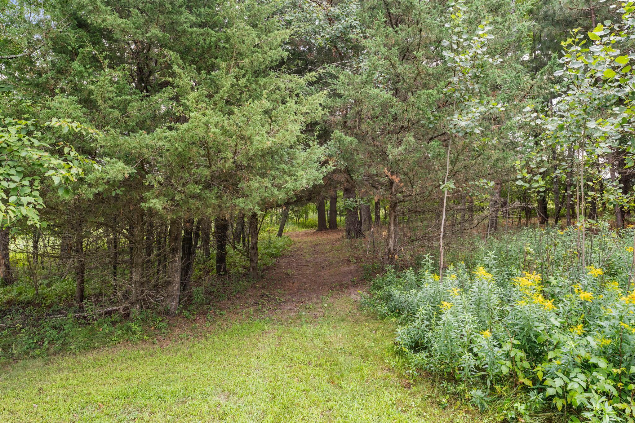 View of Residential at 19543 Naples Street, East Bethel MN 55011, East Bethel (27 of 44) - Mike Wilen | Minnesota Team Real Estate