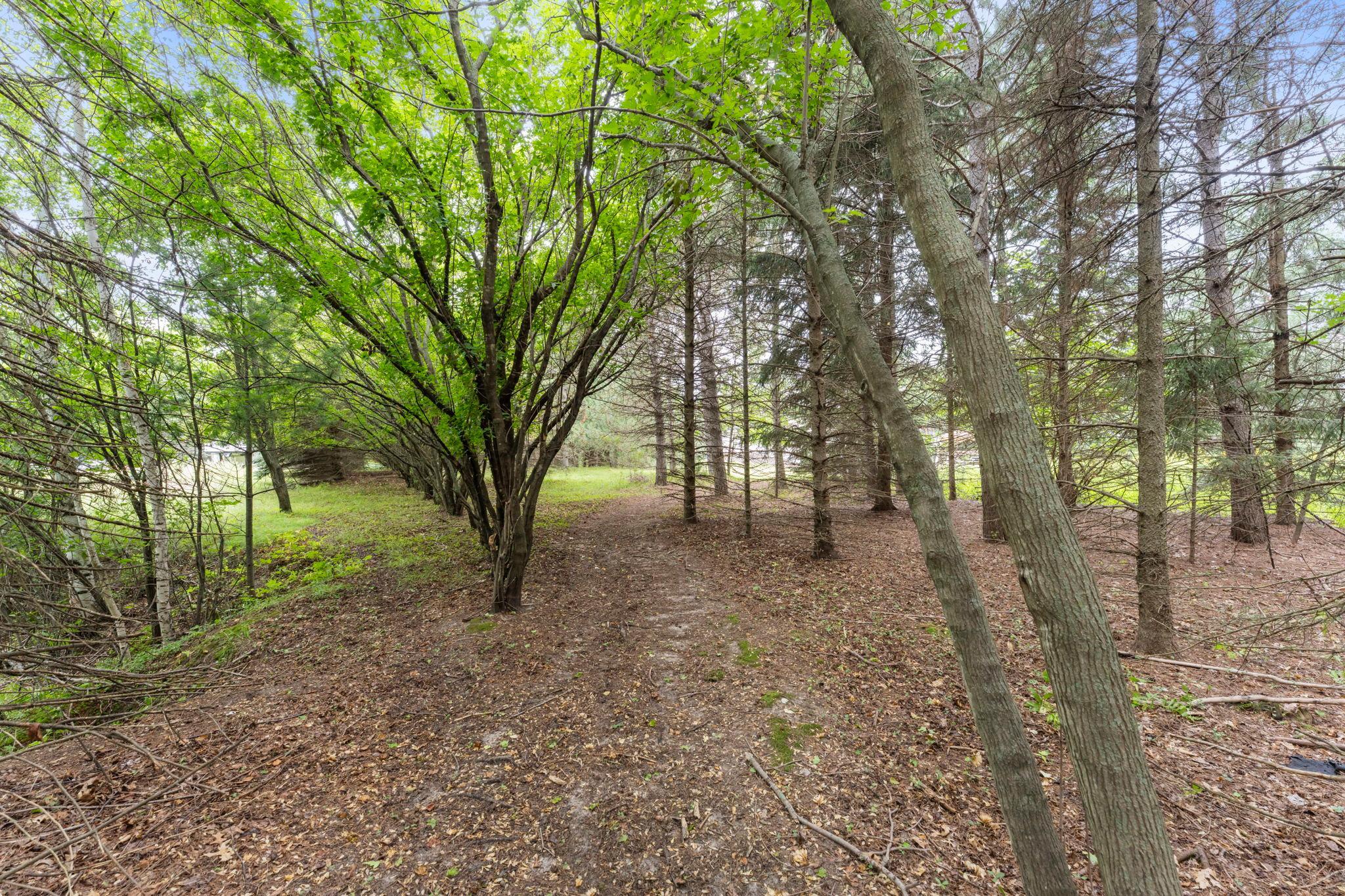 View of Residential at 19543 Naples Street, East Bethel MN 55011, East Bethel (42 of 44) - Mike Wilen | Minnesota Team Real Estate