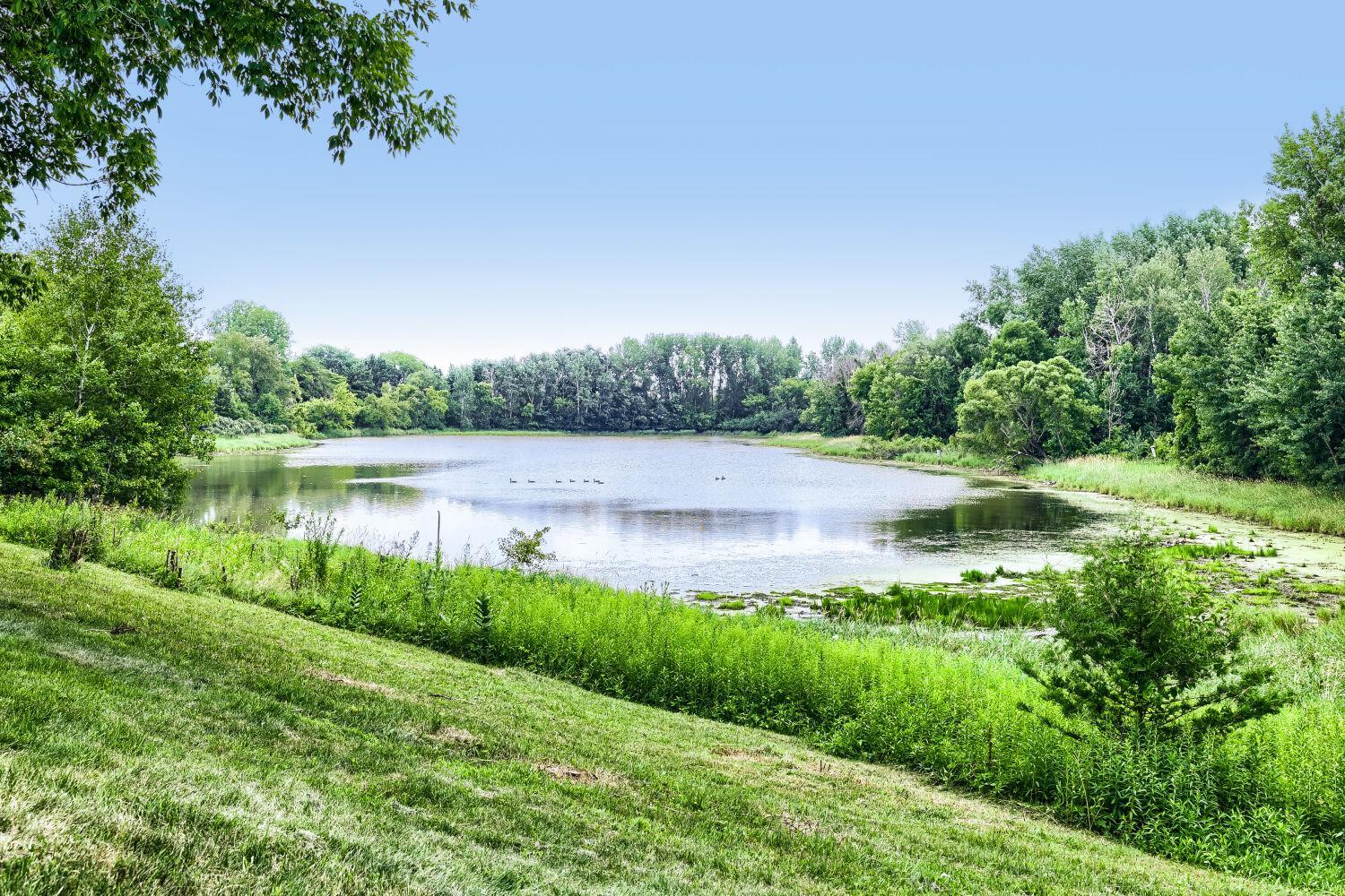 View of Residential at 11959 Imperial Avenue, Hugo MN 55038, Hugo (44 of 51) - Mike Wilen | Minnesota Team Real Estate