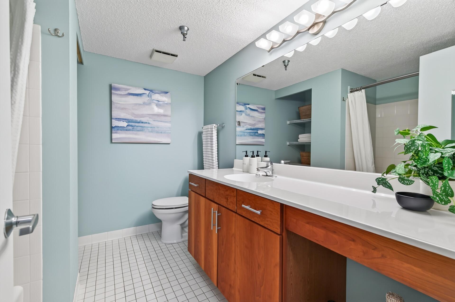 View of Residential at 401 1st Street #423, Minneapolis MN 55401, Minneapolis (27 of 79) - Mike Wilen | Minnesota Team Real Estate