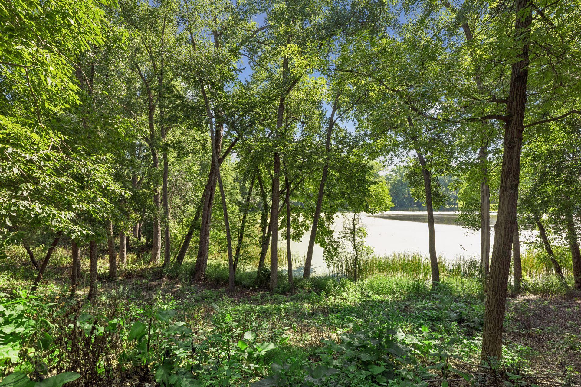 View of Land at 5803 Vernon Lane, Edina MN 55436, Edina (8 of 13) - Mike Wilen | Minnesota Team Real Estate