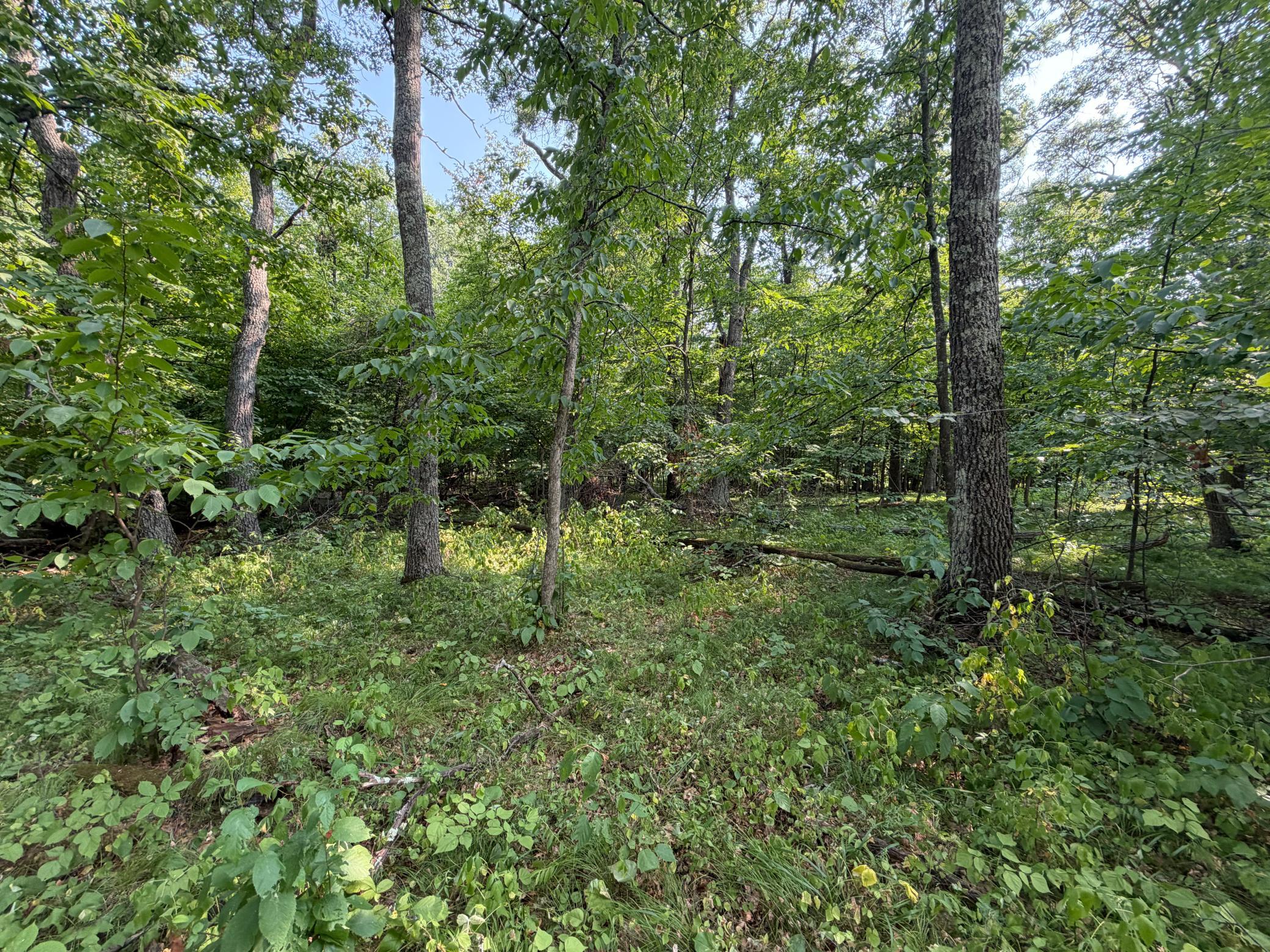 View of Land at TBD Pawnee Circle, Breezy Point MN 56472, Breezy Point (3 of 13) - Mike Wilen | Minnesota Team Real Estate